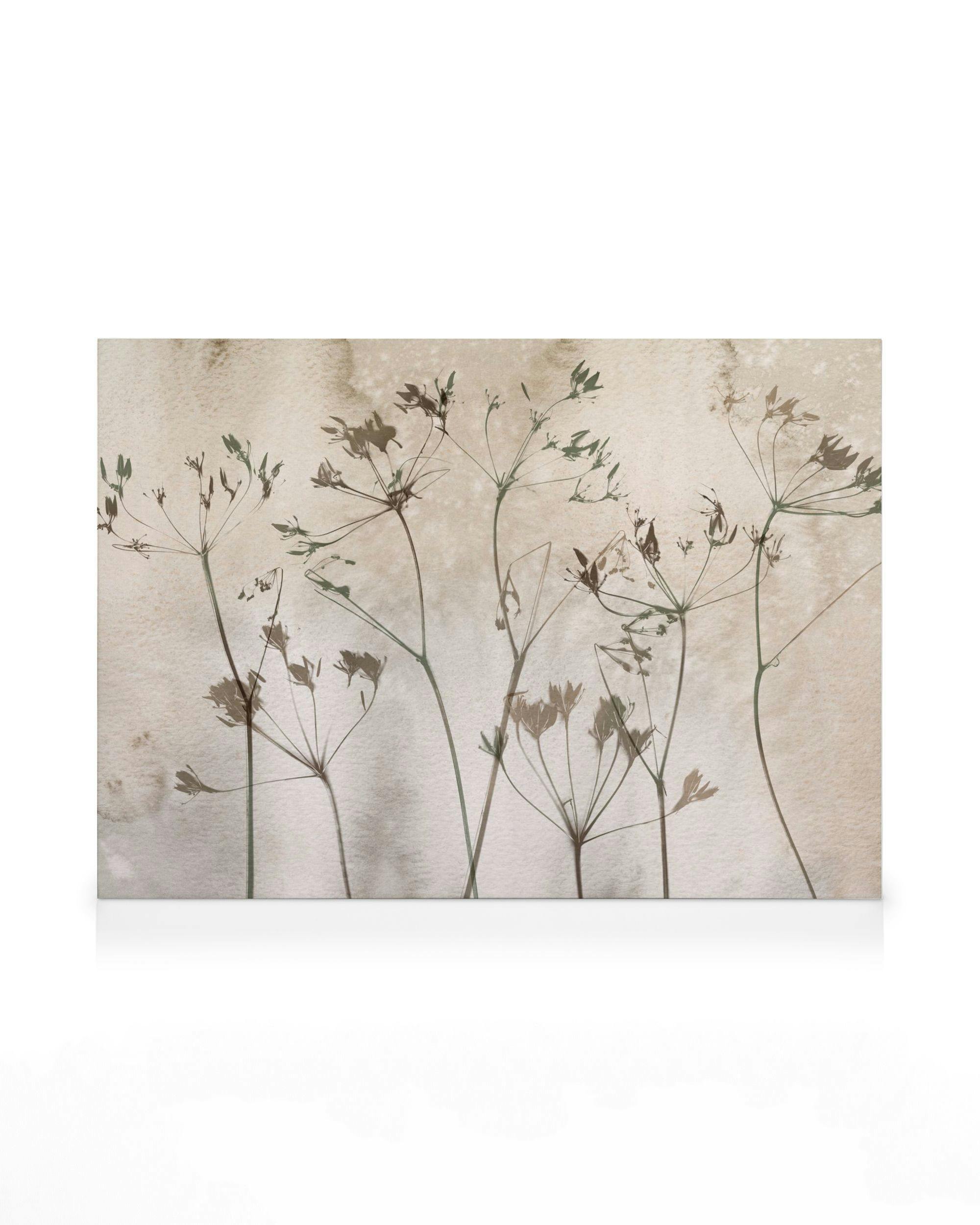 Canvas Prints Dried Flowers Art No1 Canvas print (50x70 cm - Black Frame)