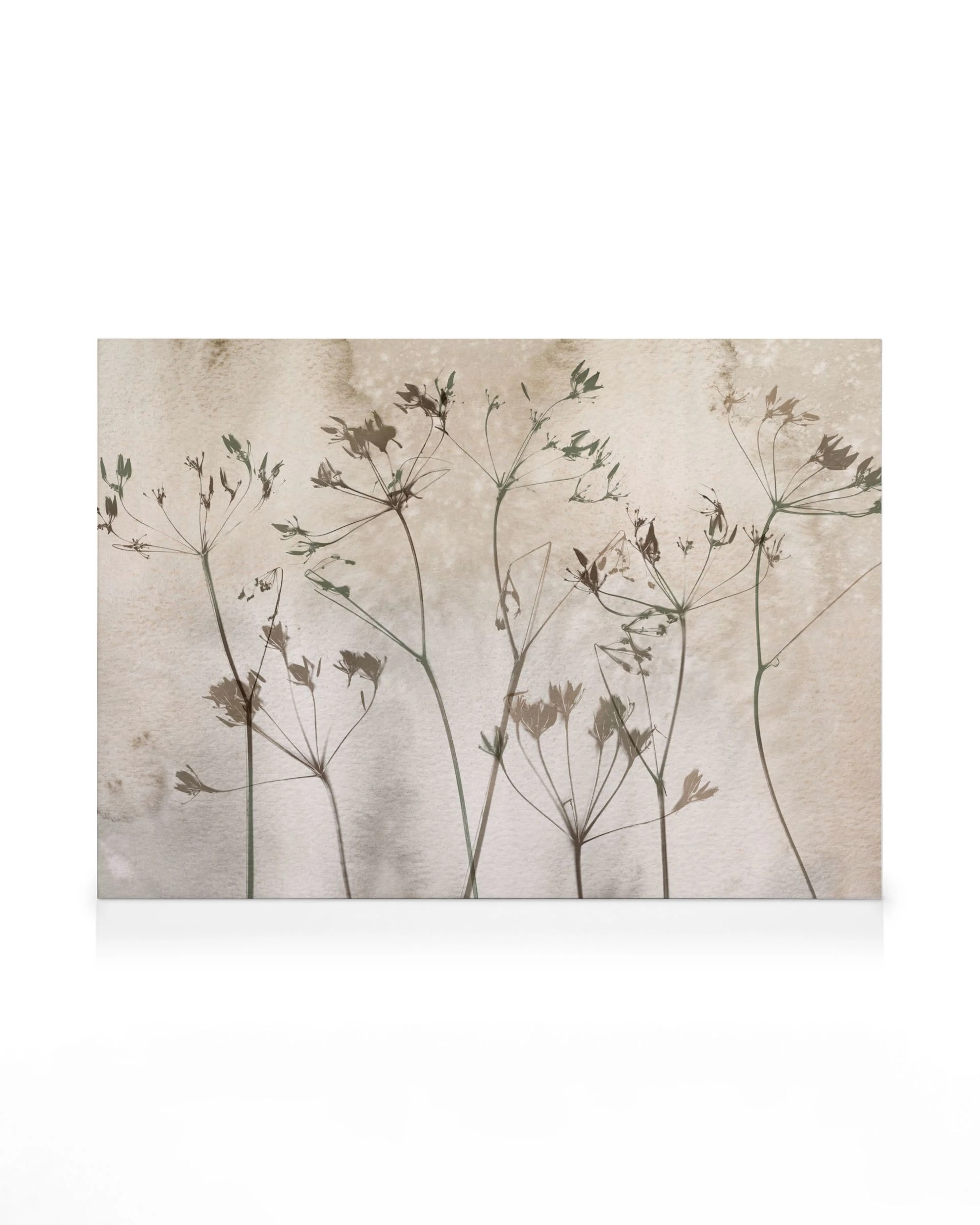 Dried flowers art print on canvas, neutral tones, botanical illustration