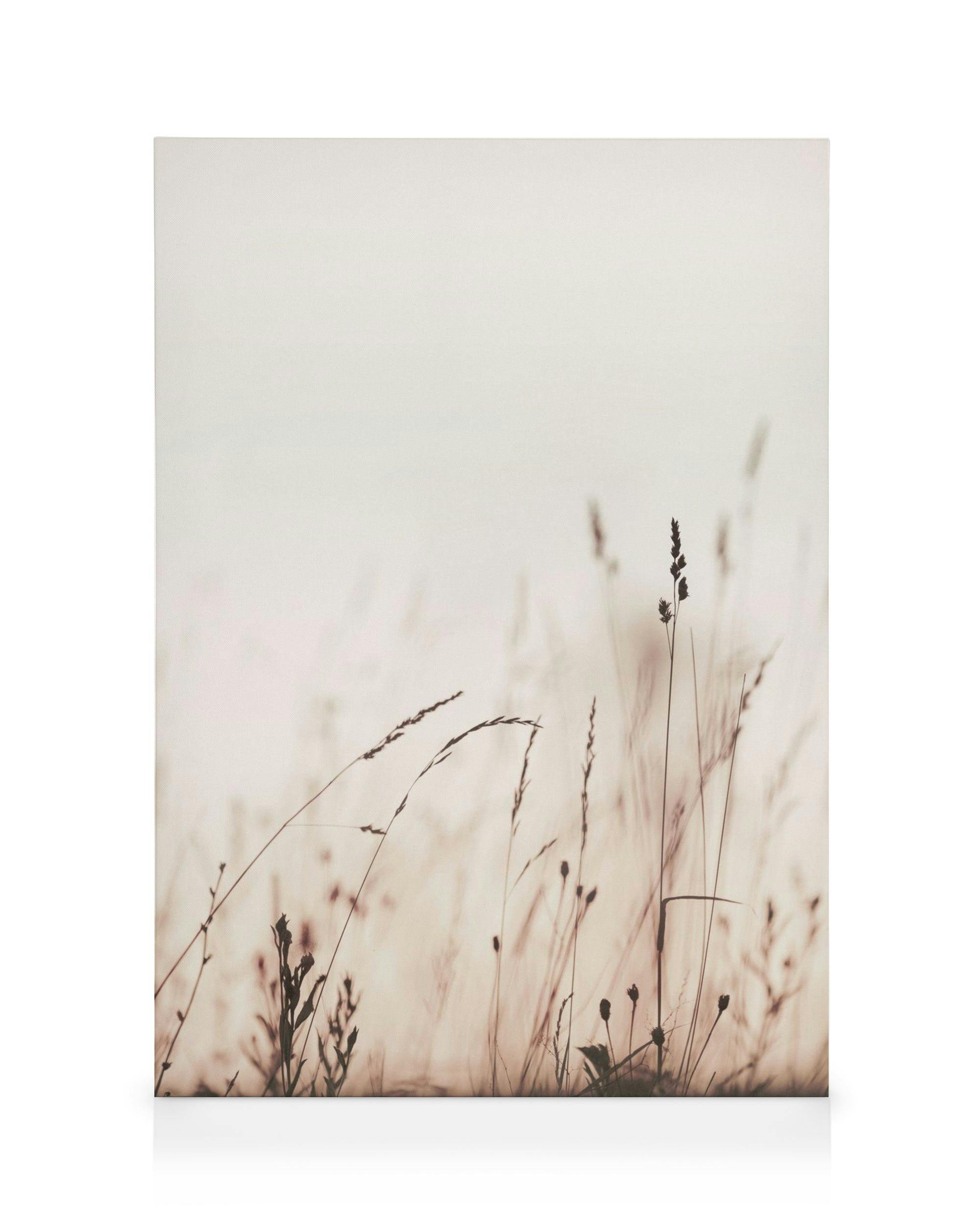 Canvas Prints Morning Field Canvas print (50x70 cm)