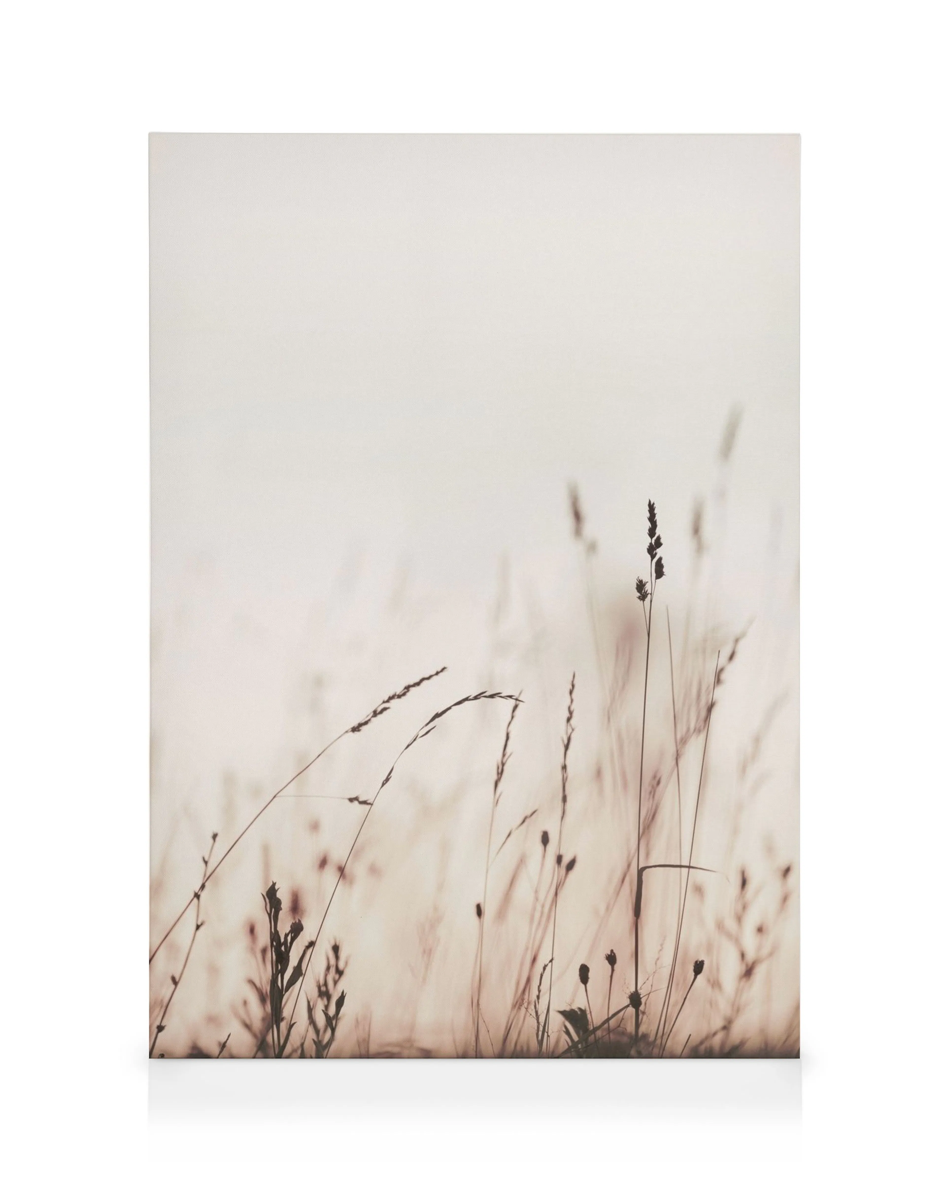 Tela minimalista com silhuetas de gramíneas e plantas em tons suaves de marrom e branco, efeito nebuloso.