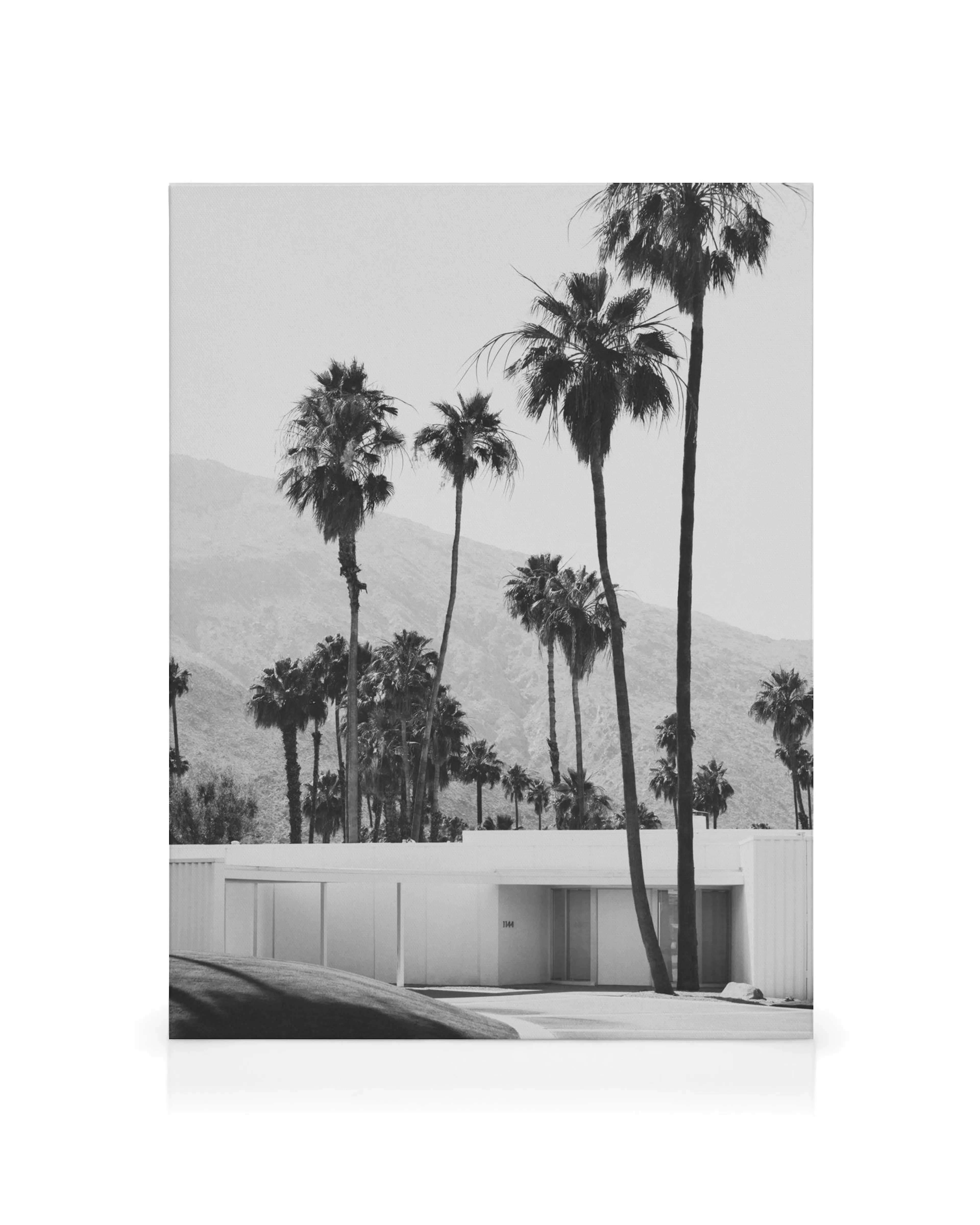 Black and white Desert House canvas print with palm trees and mountains under a bright sky, featuring a modern architectural des