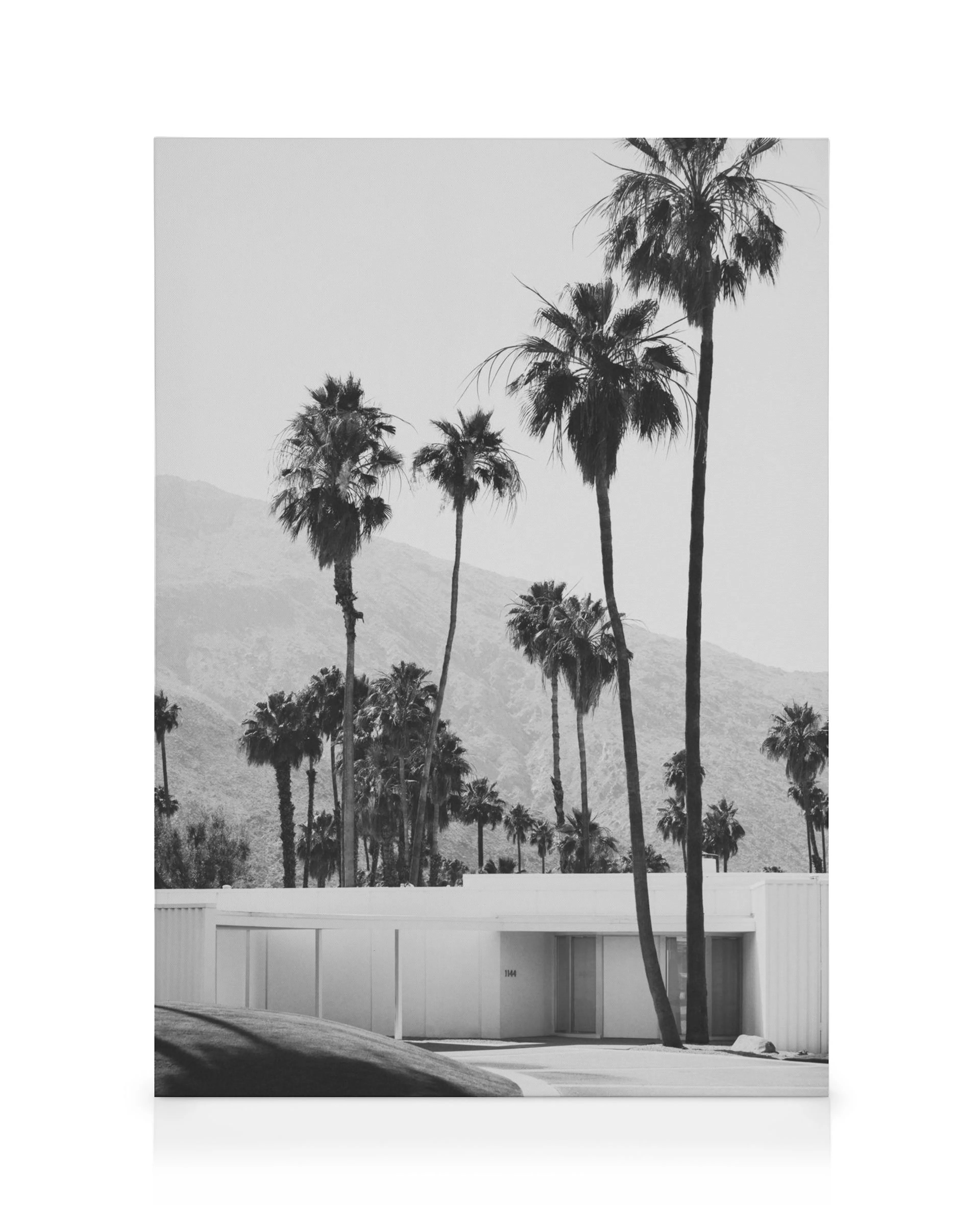 Svartvit fotokonst av modern villa med palmer och berg i bakgrunden. Ökenhus, Palm Springs.