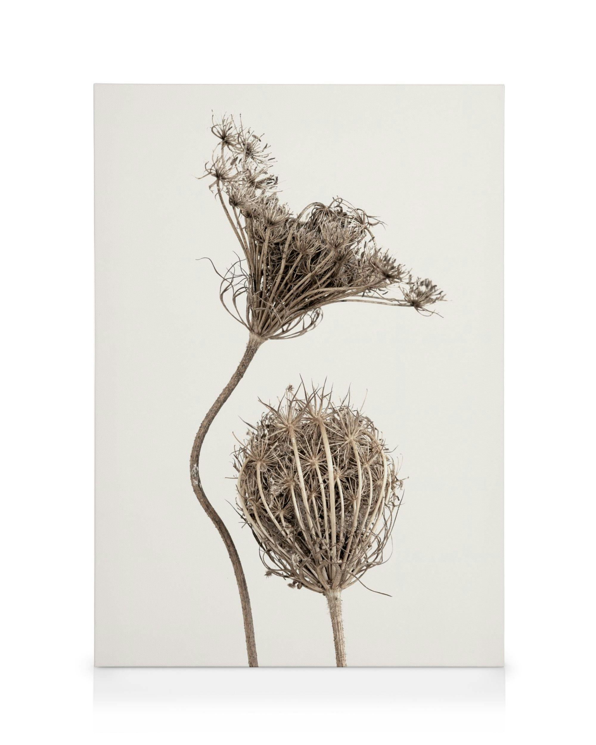 Canvas Prints Boho Flowers Canvas print (30x40 cm)