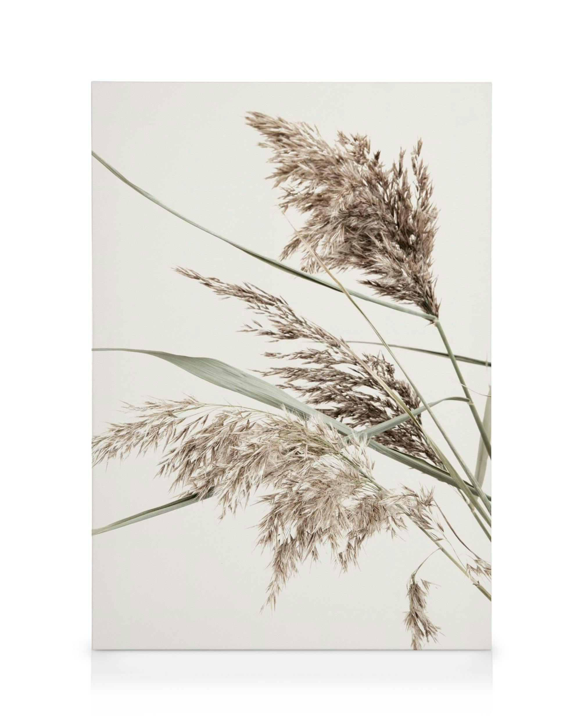 Canvas Prints Boho Grass Canvas print (50x70 cm)