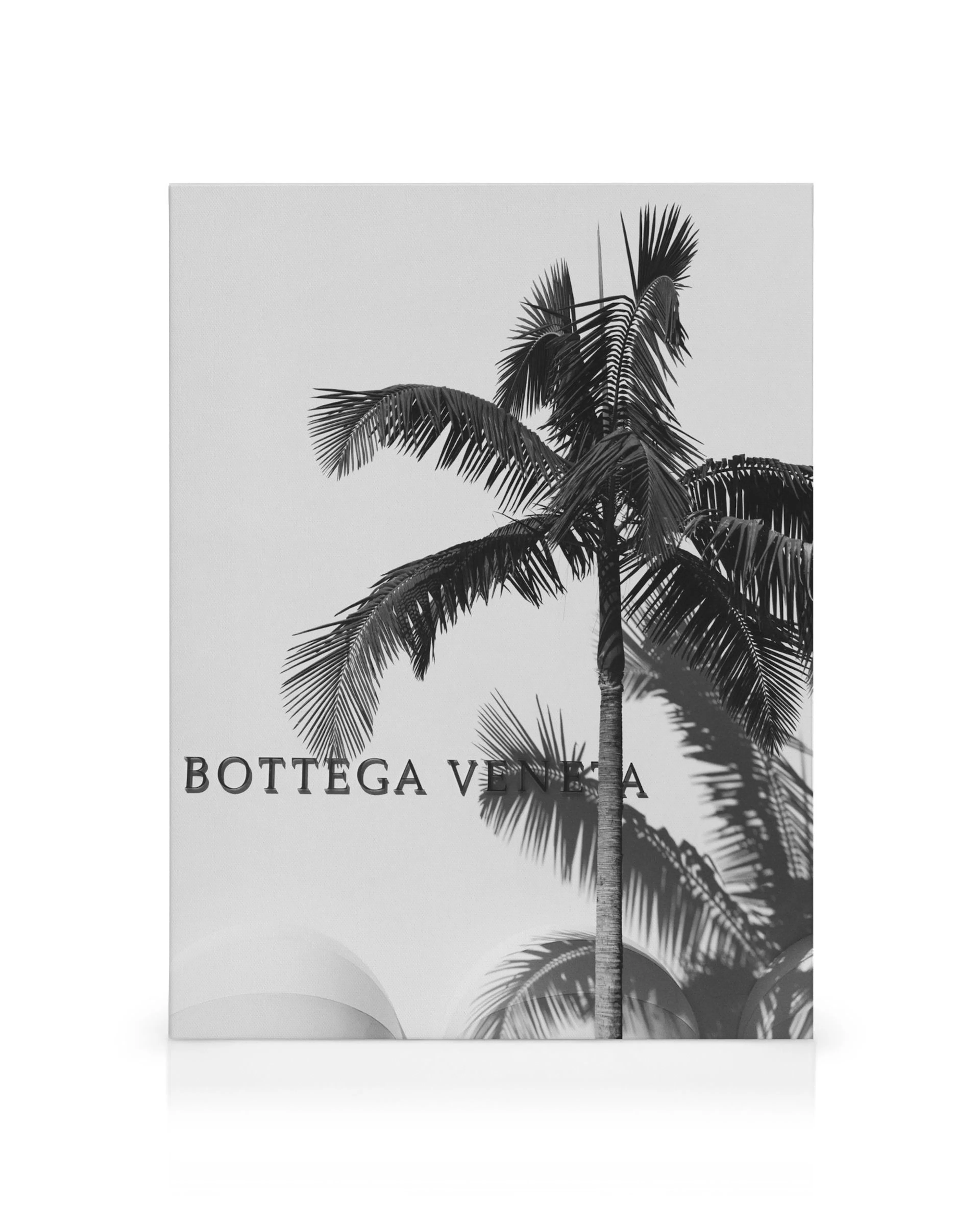 Fotografia em tela de palmeira em preto e branco com textura granulada, sombras curvas e texto Bottega Veneta
