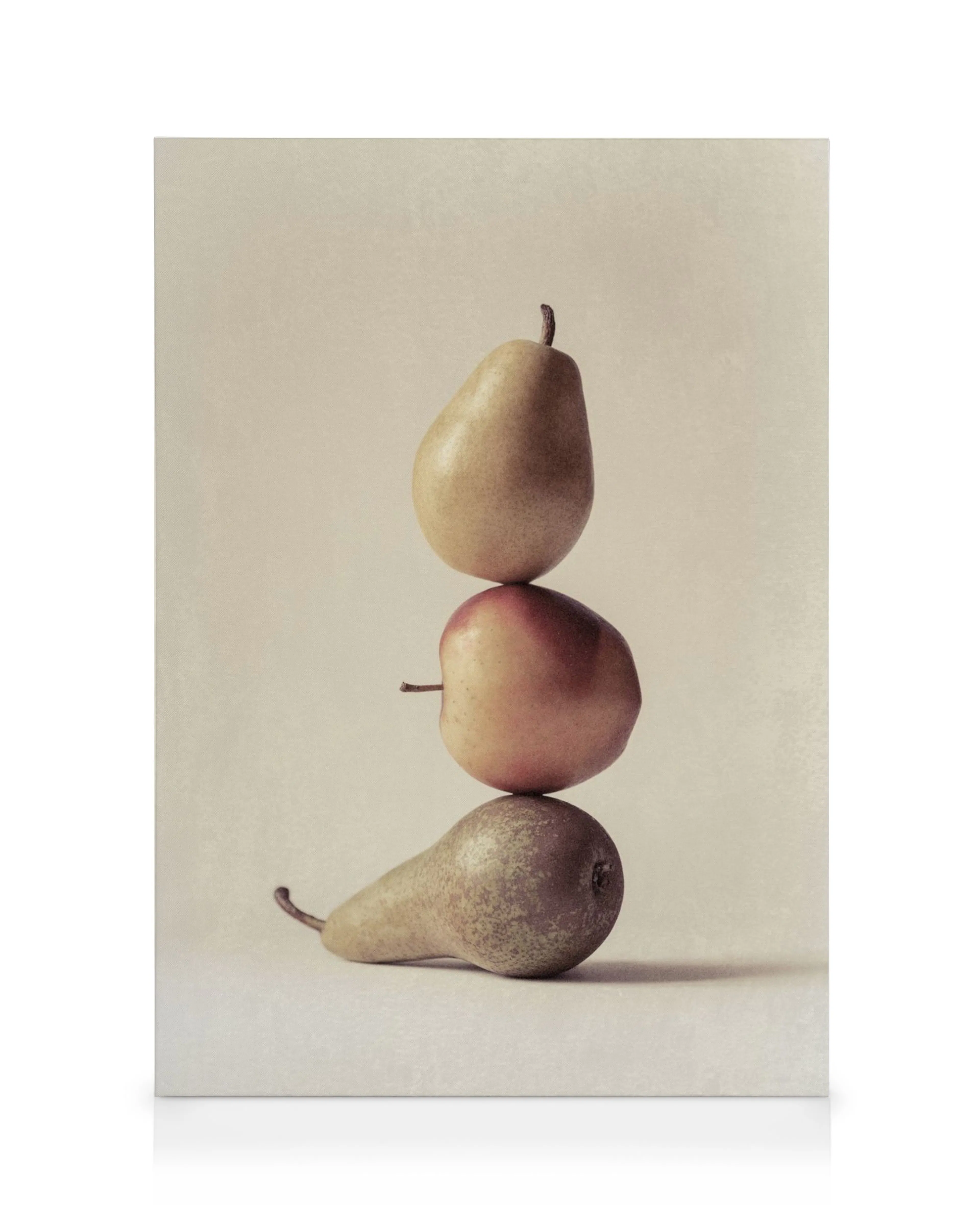 Still life canvas print with three stacked pears in shades of brown and green against a light background.