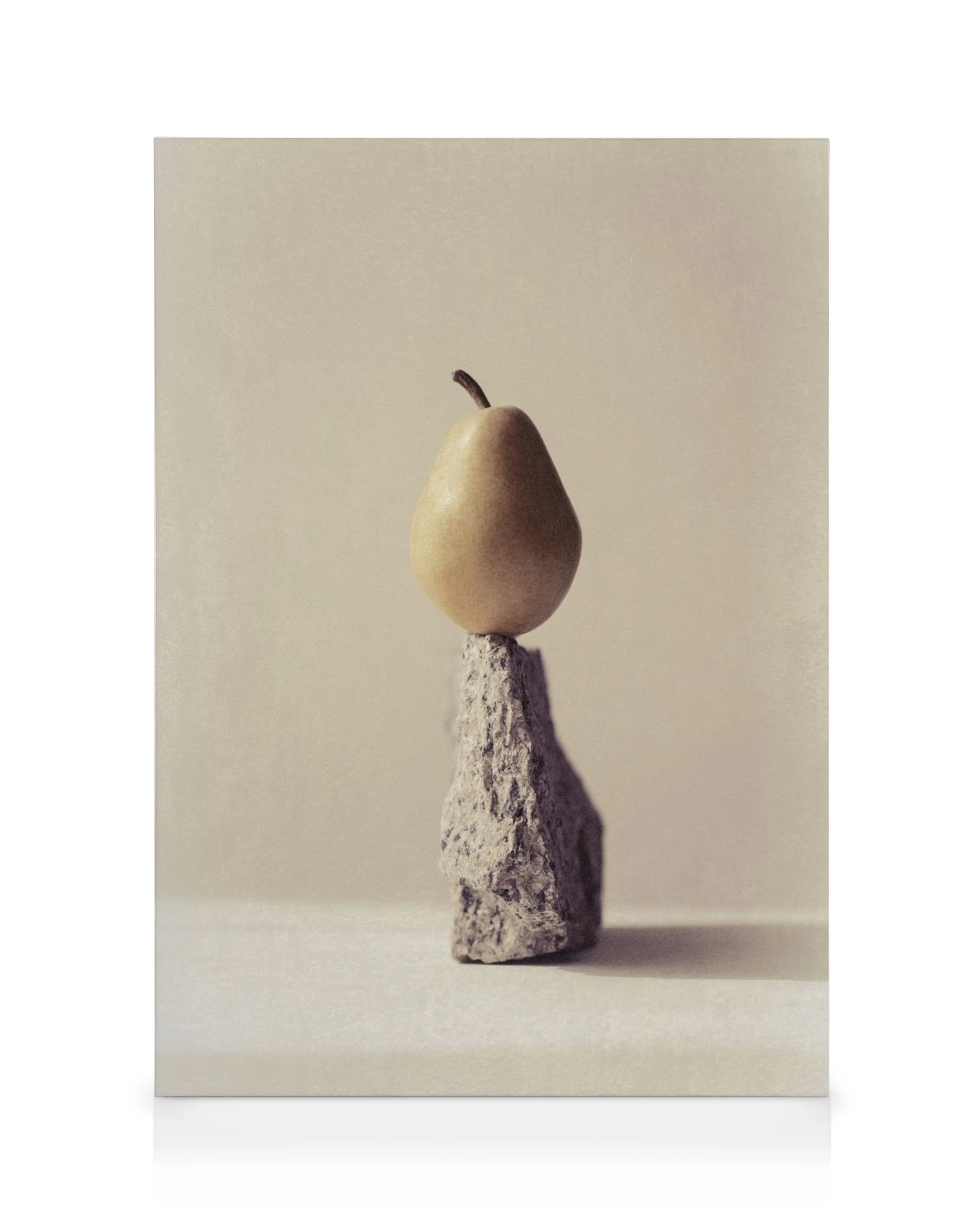 Vintage pear still life art print on canvas, a yellowed pear balanced on a dark grey rock with grainy texture.