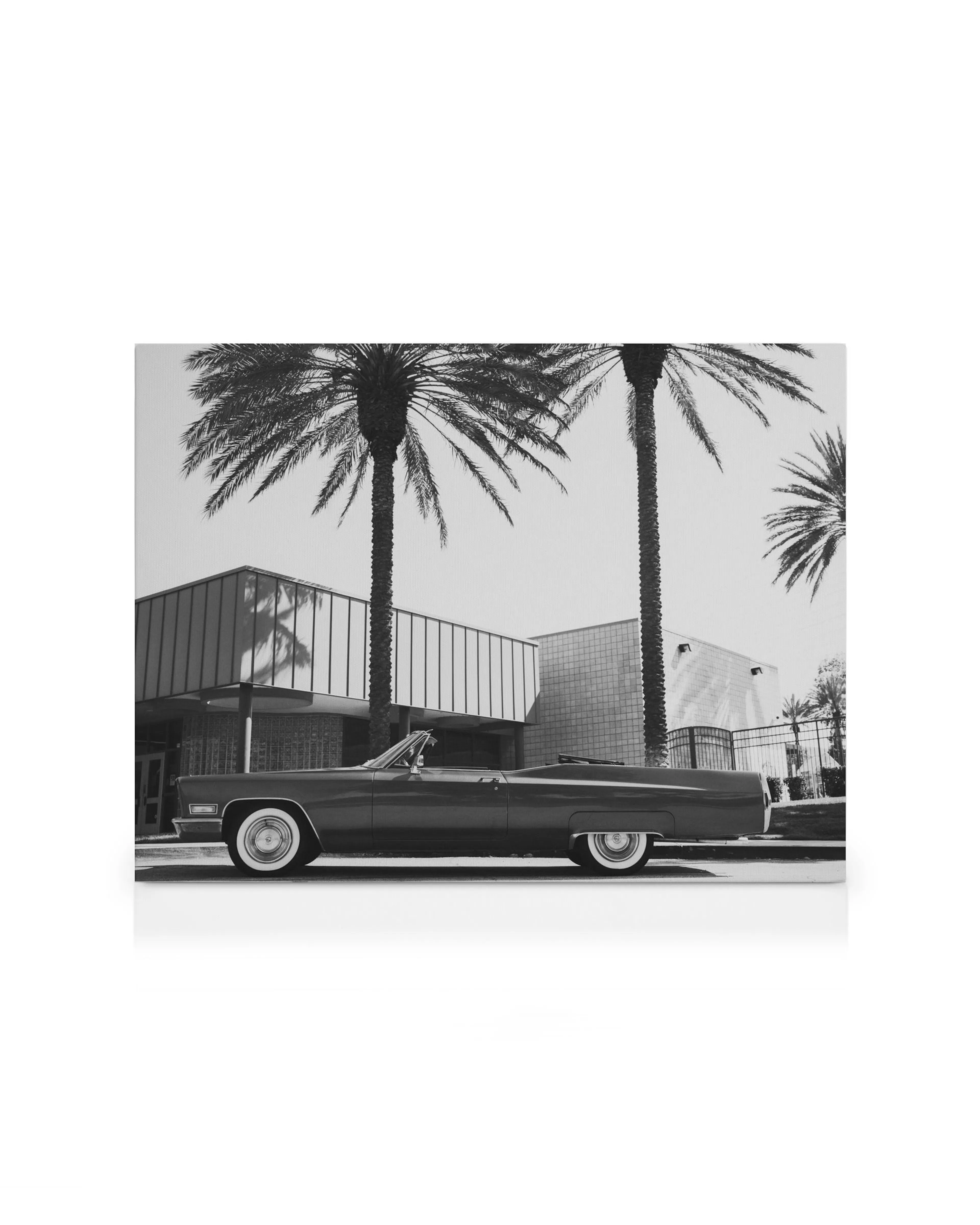 Svartvitt fotografi av en klassisk Cadillac cabriolet parkerad vid palmträd och byggnader, med kornig effekt.