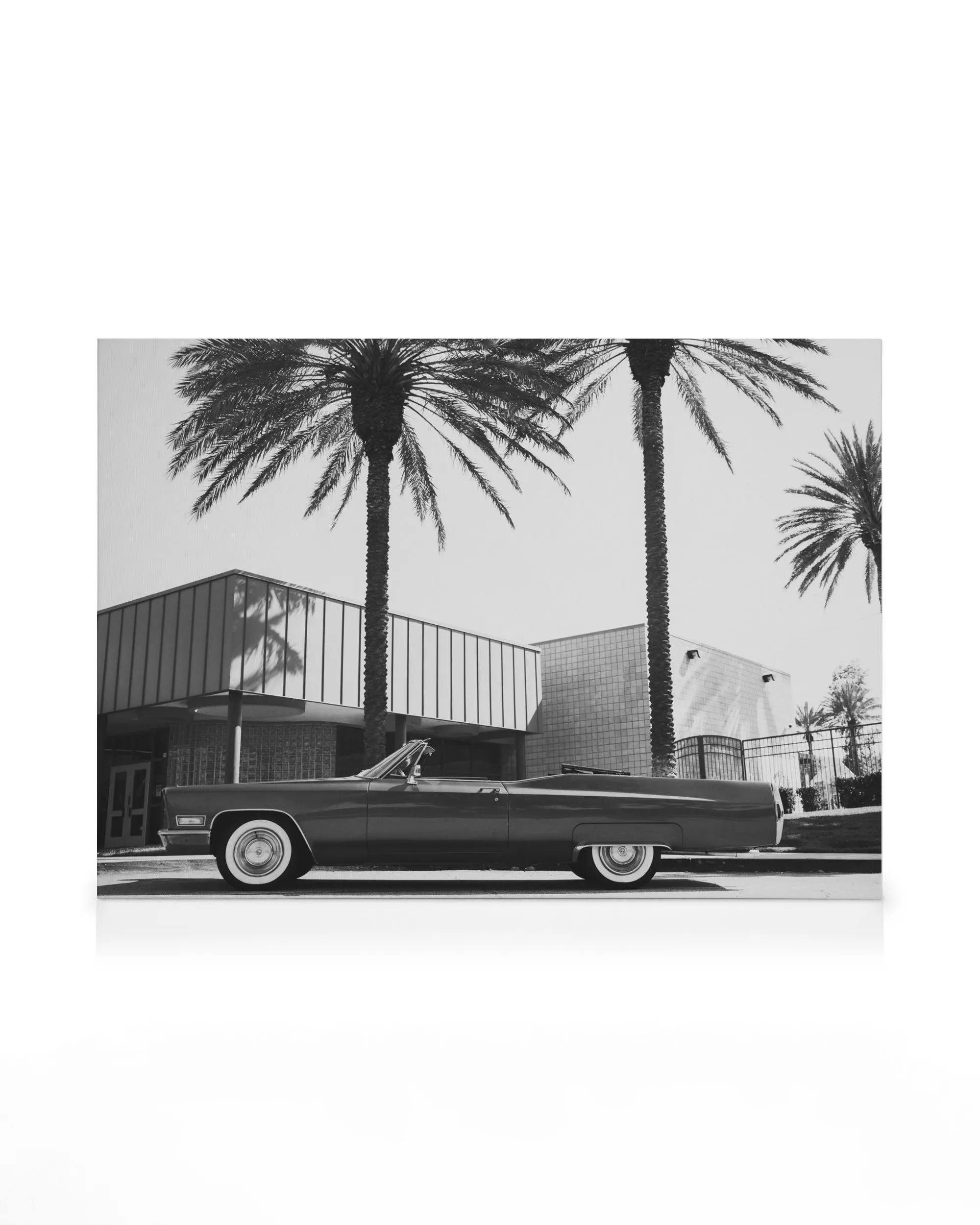 Zwart-wit canvas van een klassieke Cadillac cabriolet geparkeerd tussen palmbomen en moderne gebouwen.