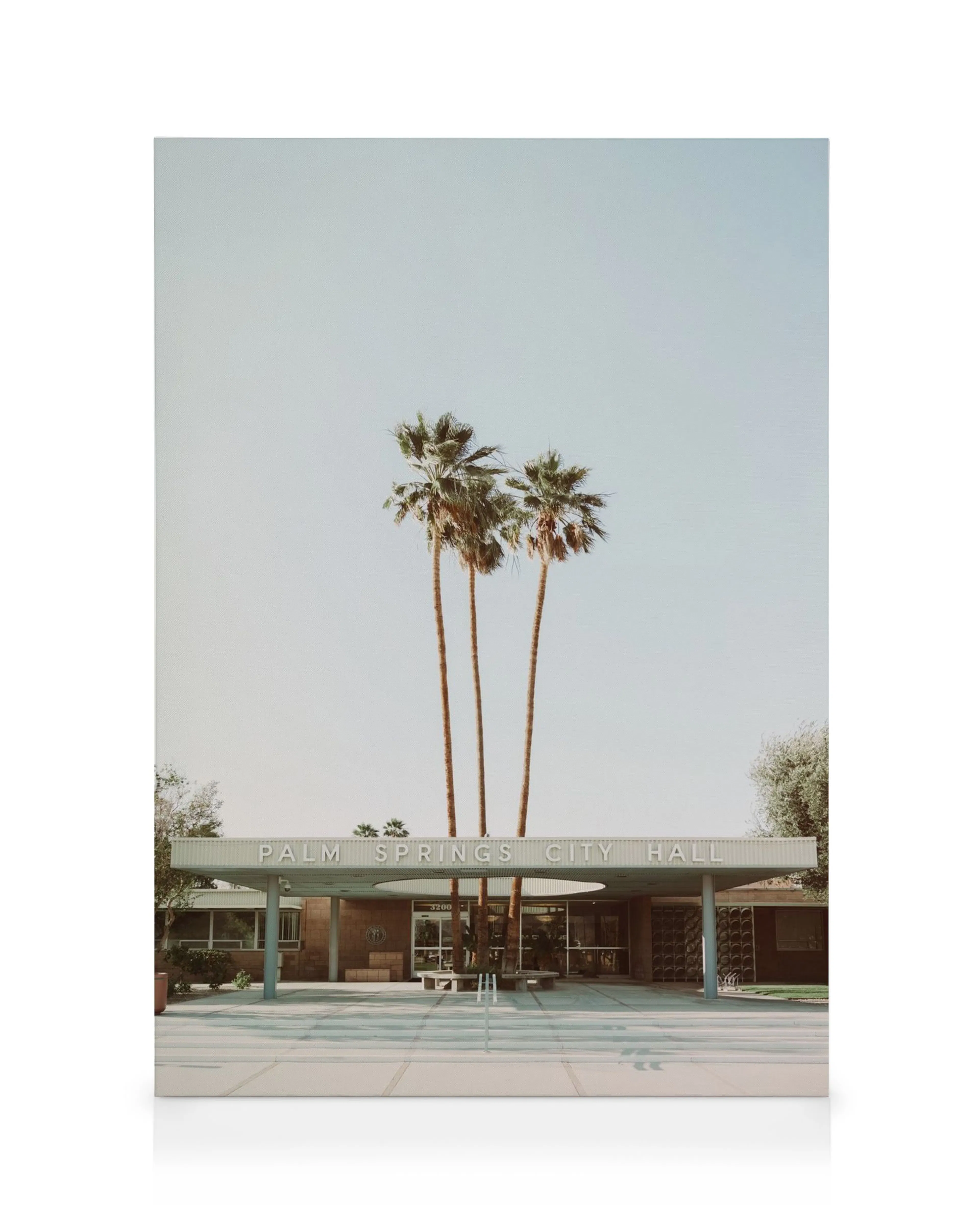 Vintagefoto av Palm Springs City Hall med tre höga palmer och en klar himmel, framför en byggnad med glasfönster.