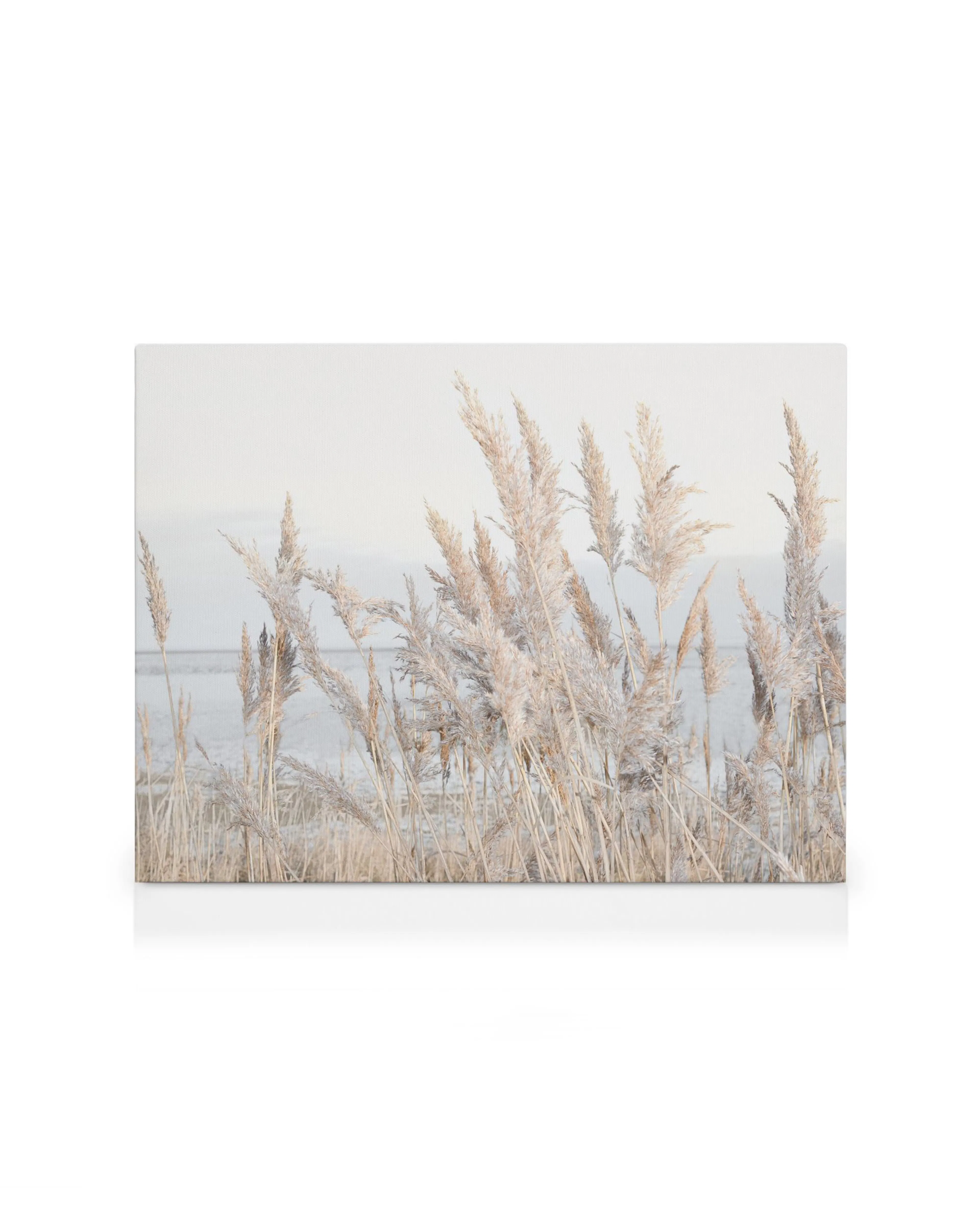 Stampa su tela beige con erba alta piumosa e mare sullo sfondo, tonalità calde e rilassanti.