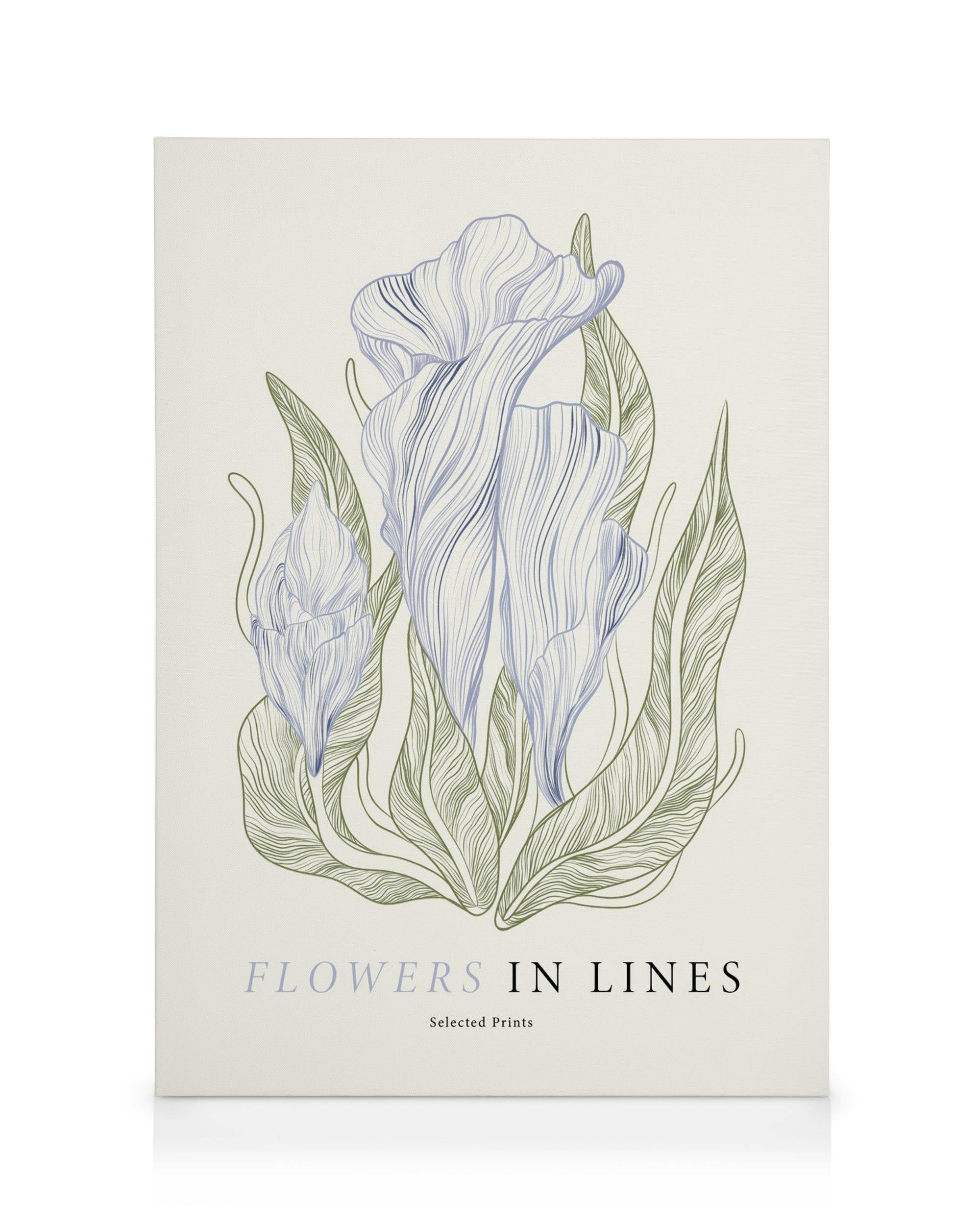 Canvas Prints Flowers in Lines No1 Canvas print (50x70 cm)