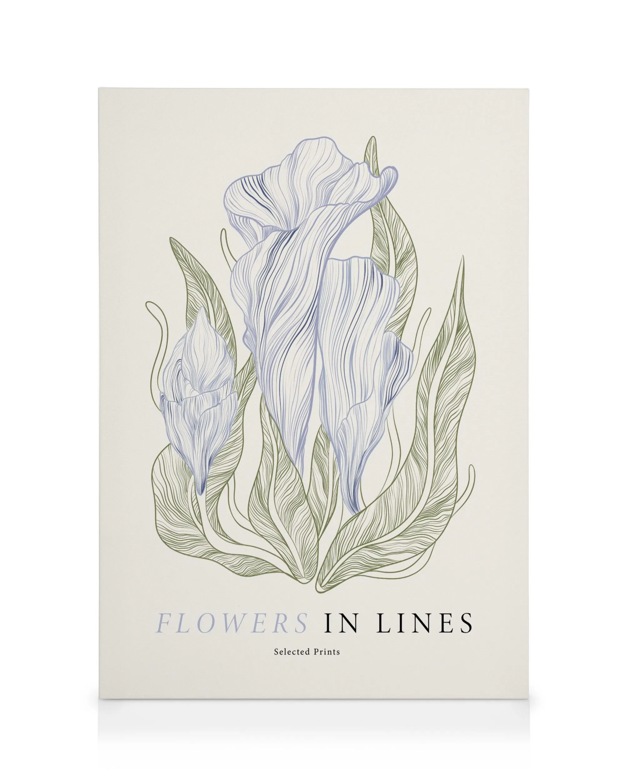 Leinwandbild Flowers in Lines No1 mit stilisierten blauen Blüten und grünen Blättern im Linien-Design auf hellem Hintergrund.