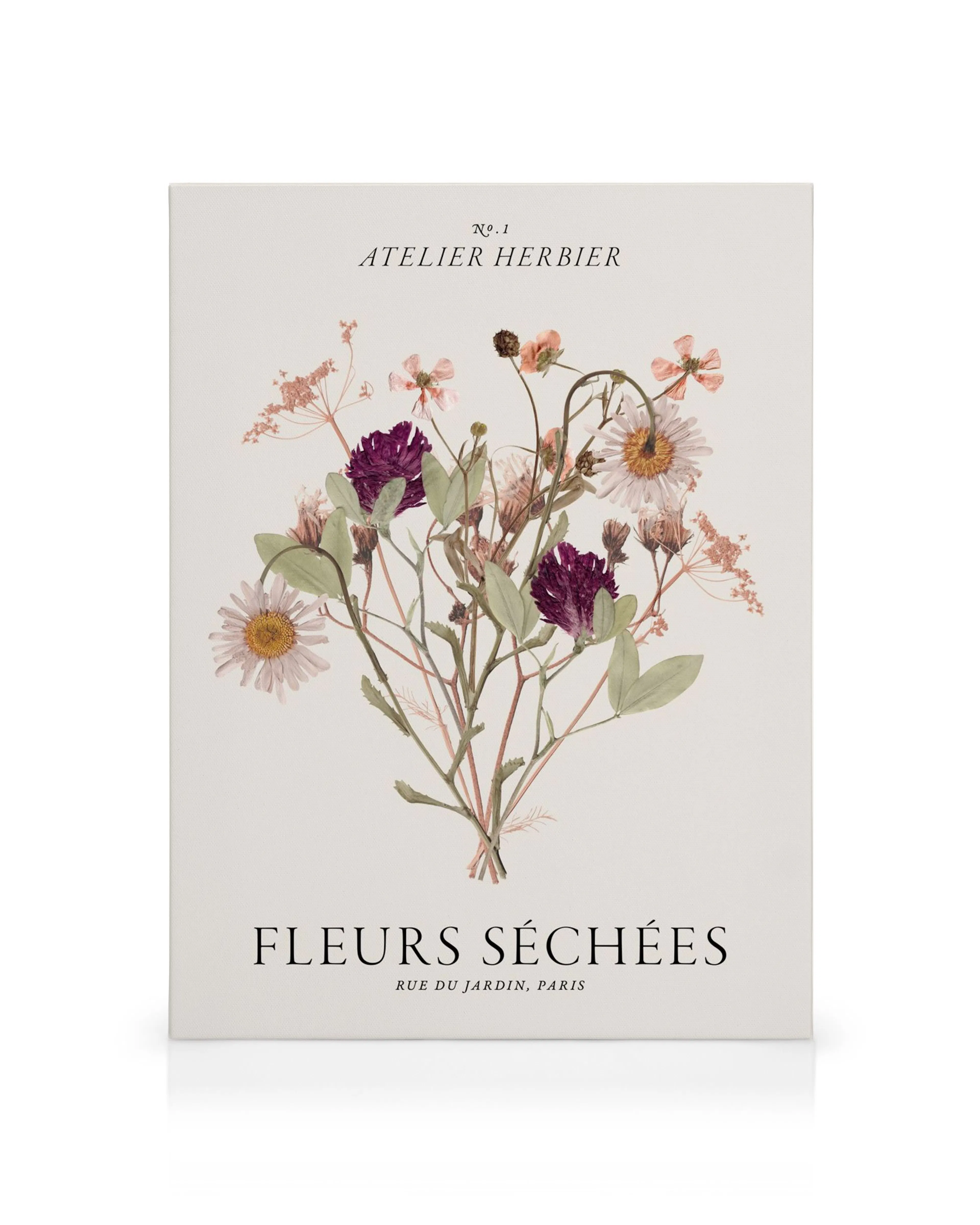 Fleurs Séchées canvas print: a bouquet of pressed flowers including purple clover and white daisies on a light background.
