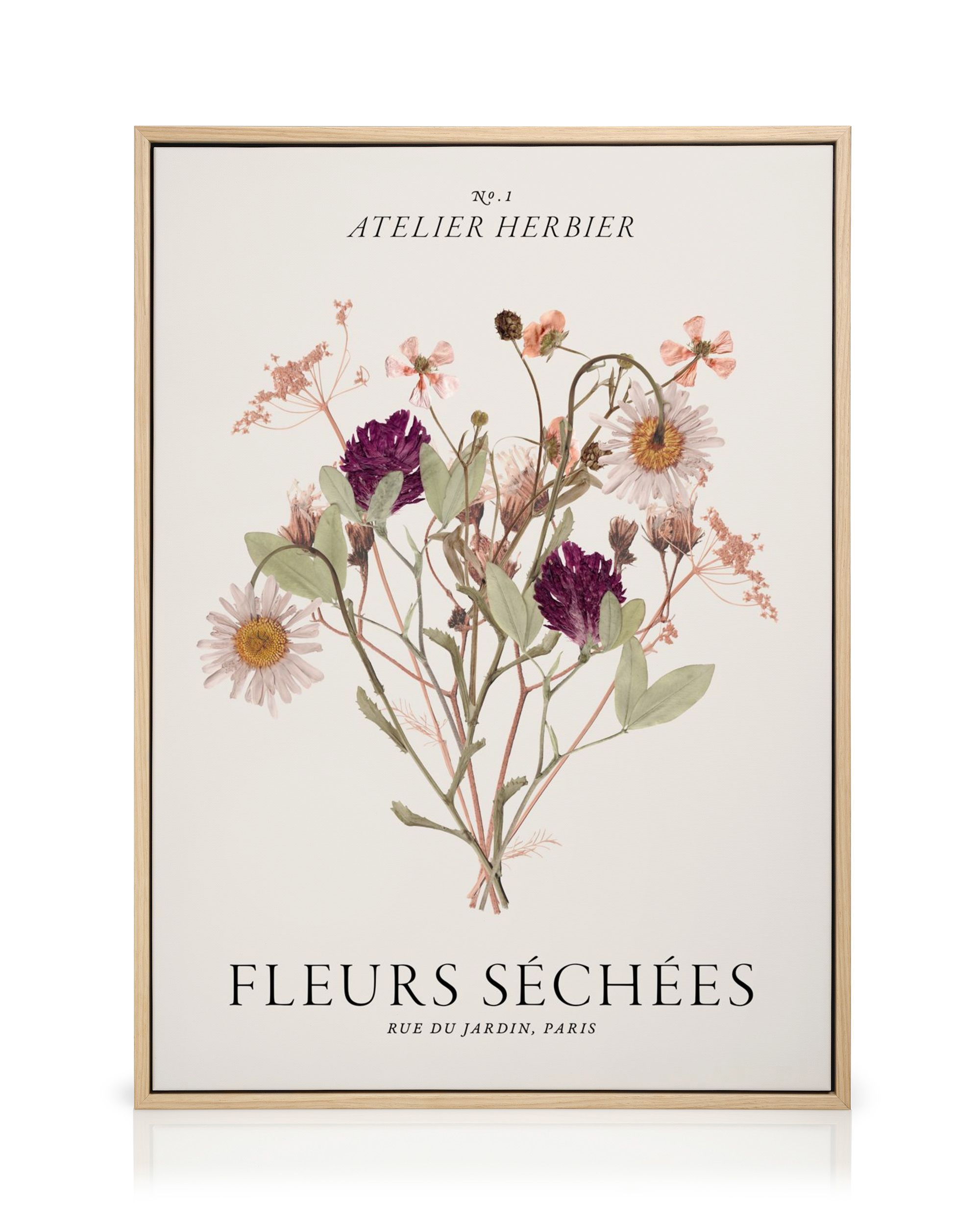 Fleurs Séchées Fleur Sechees Naturel Fleur Sechees Decoration Fleurs Sechees Resine Epoxy Fleurs Sechees Pour Bougies Diy Bougie Ongles Artisanat Scrapbooking Decoration Floraleviolet 84643561 Fleurs Séchées Fleur Sechees Naturel Fleur Sechees Decoration Fleurs Sechees Resine Epoxy Fleurs Sechees Pour Bougies Diy Bougie Ongles Artisanat Scrapbooking Decoration Floraleviolet 84643561