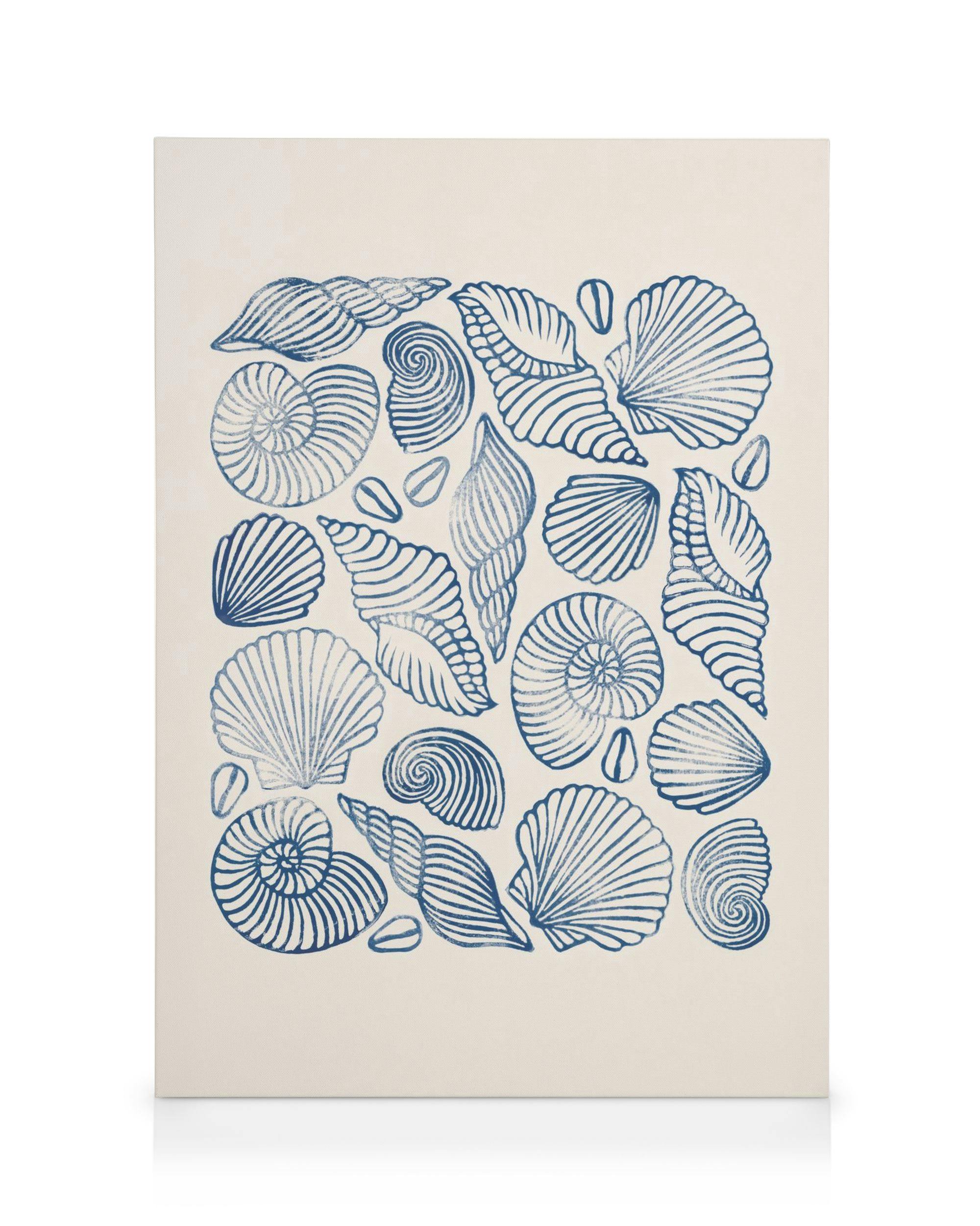 Canvas Prints Linocut Seashells Canvas print (50x70 cm)