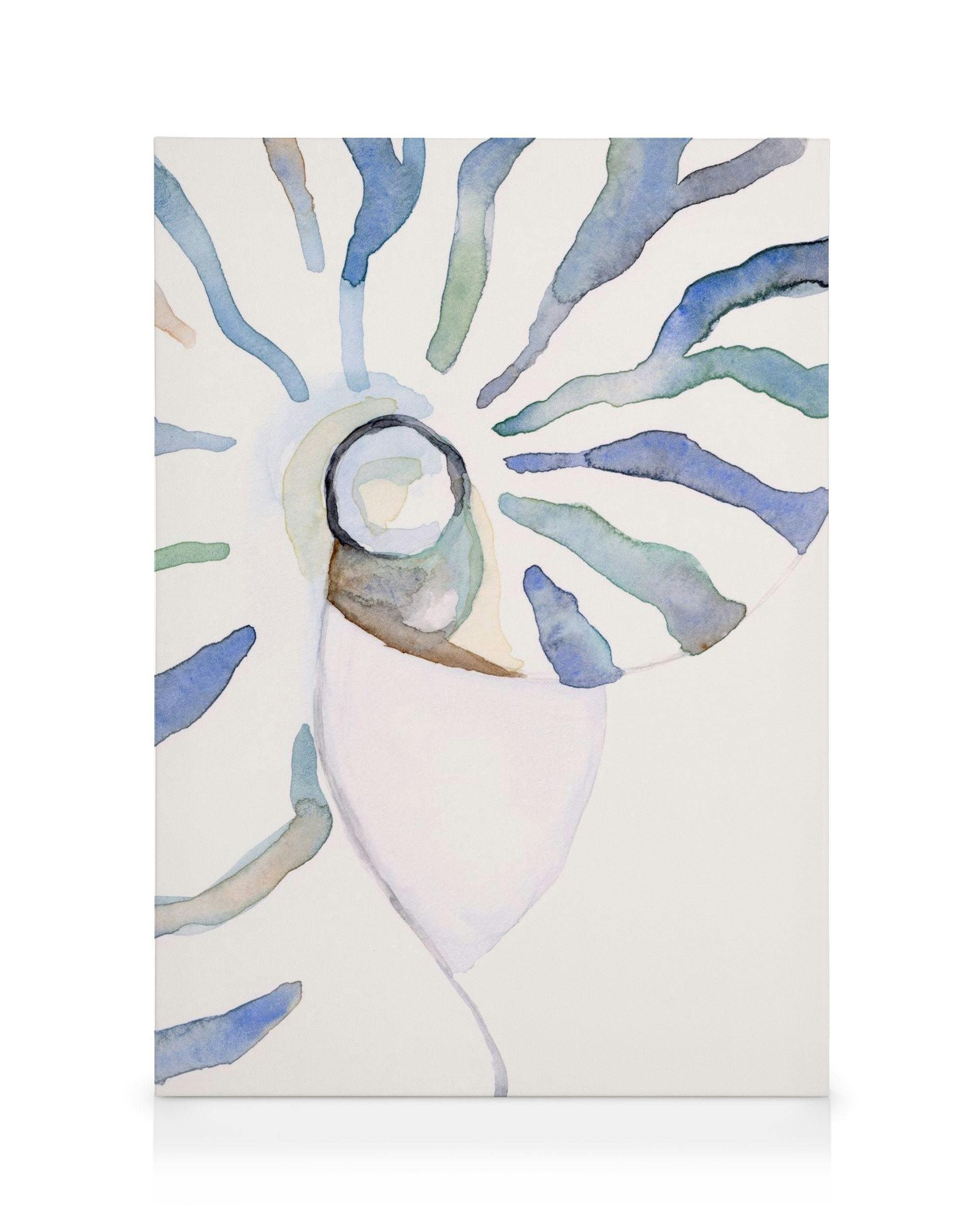 Canvas Prints Abstract Seashell Canvas print (30x40 cm - Black Frame)