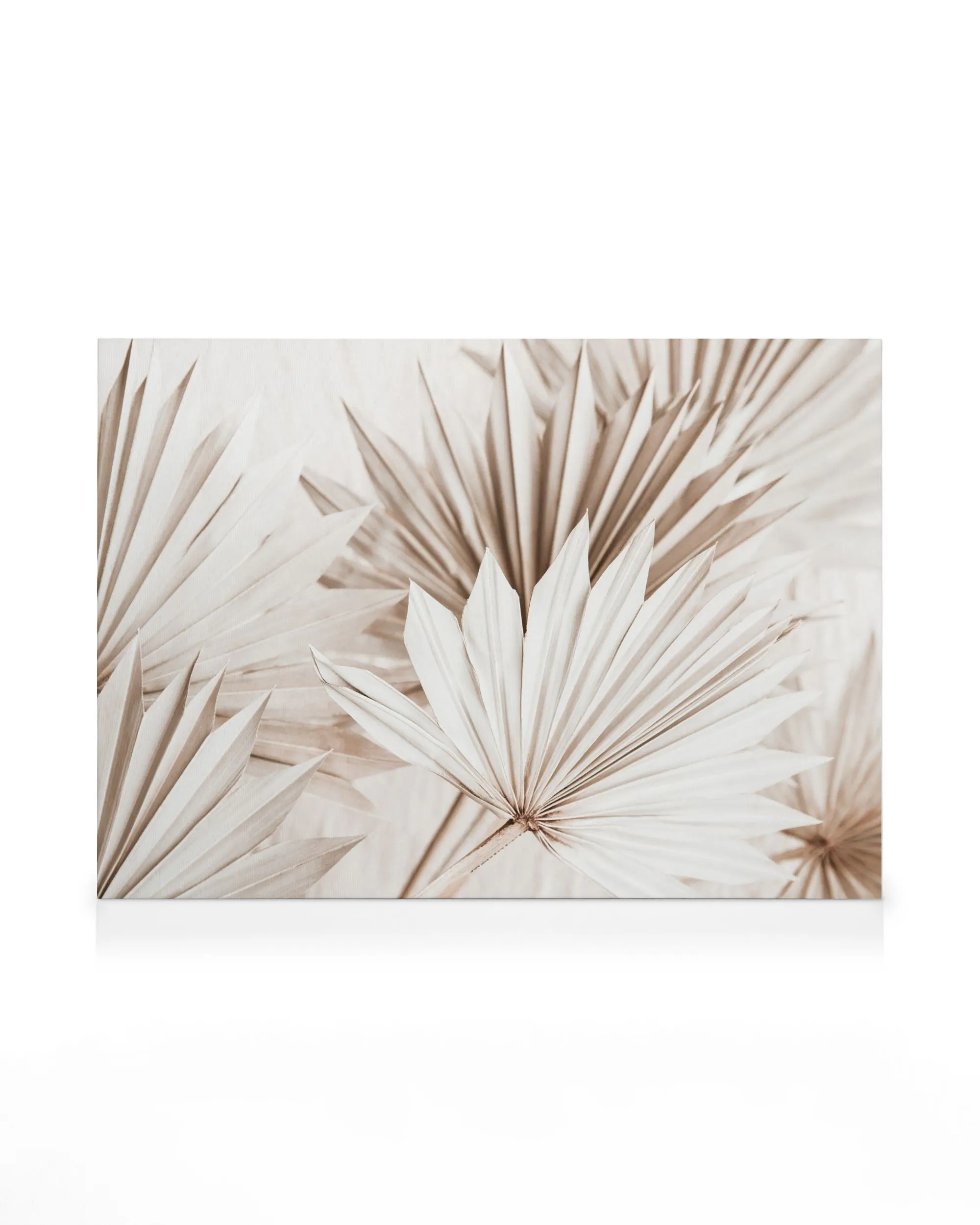 Beige palmbladstryck på canvas, med intrikata pappersliknande blomformer och spetsiga spetsar i en botanisk design.