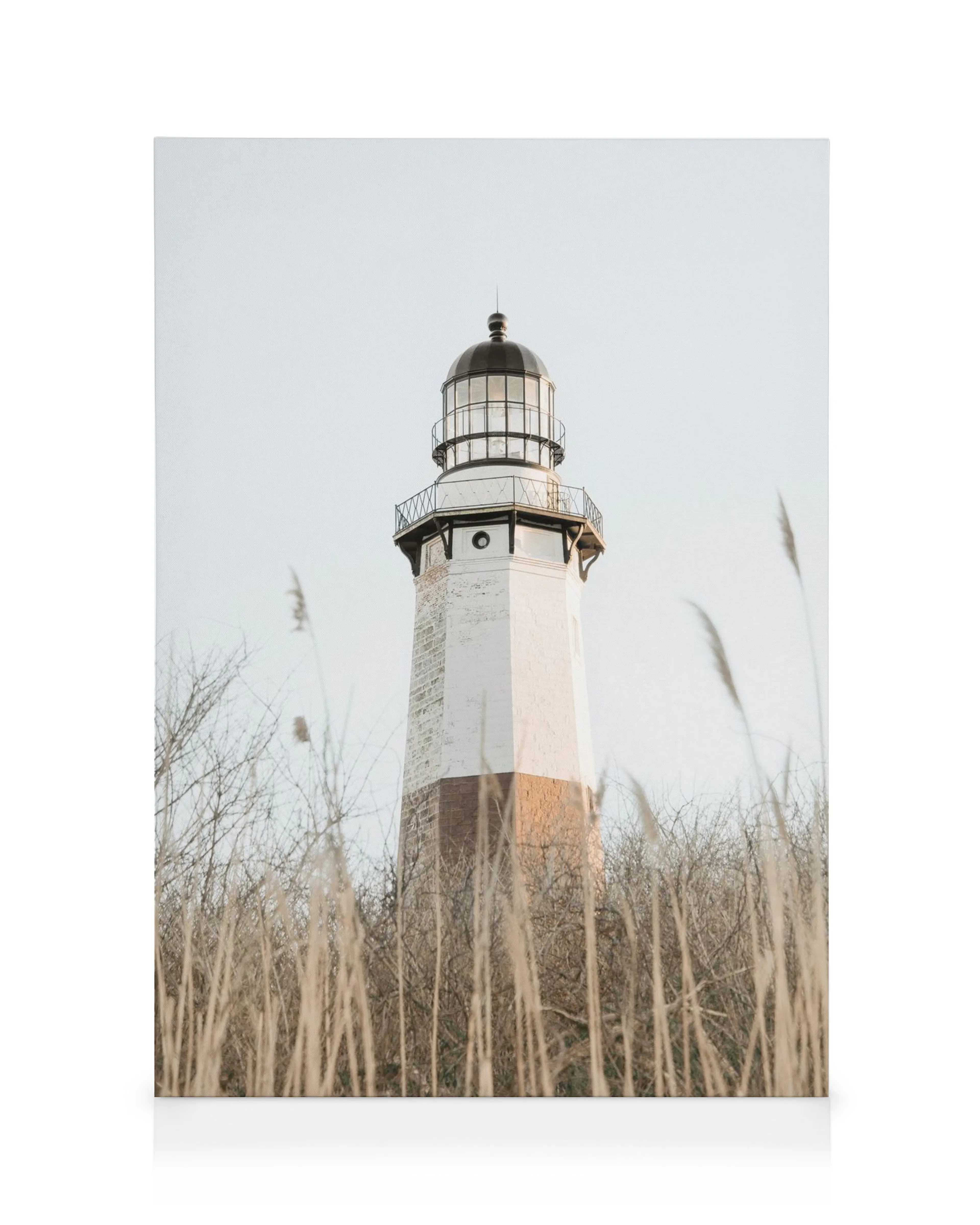 Montauk Point fyr med svart topp och vit bas mot ljusblå himmel, omgiven av vass och träd.