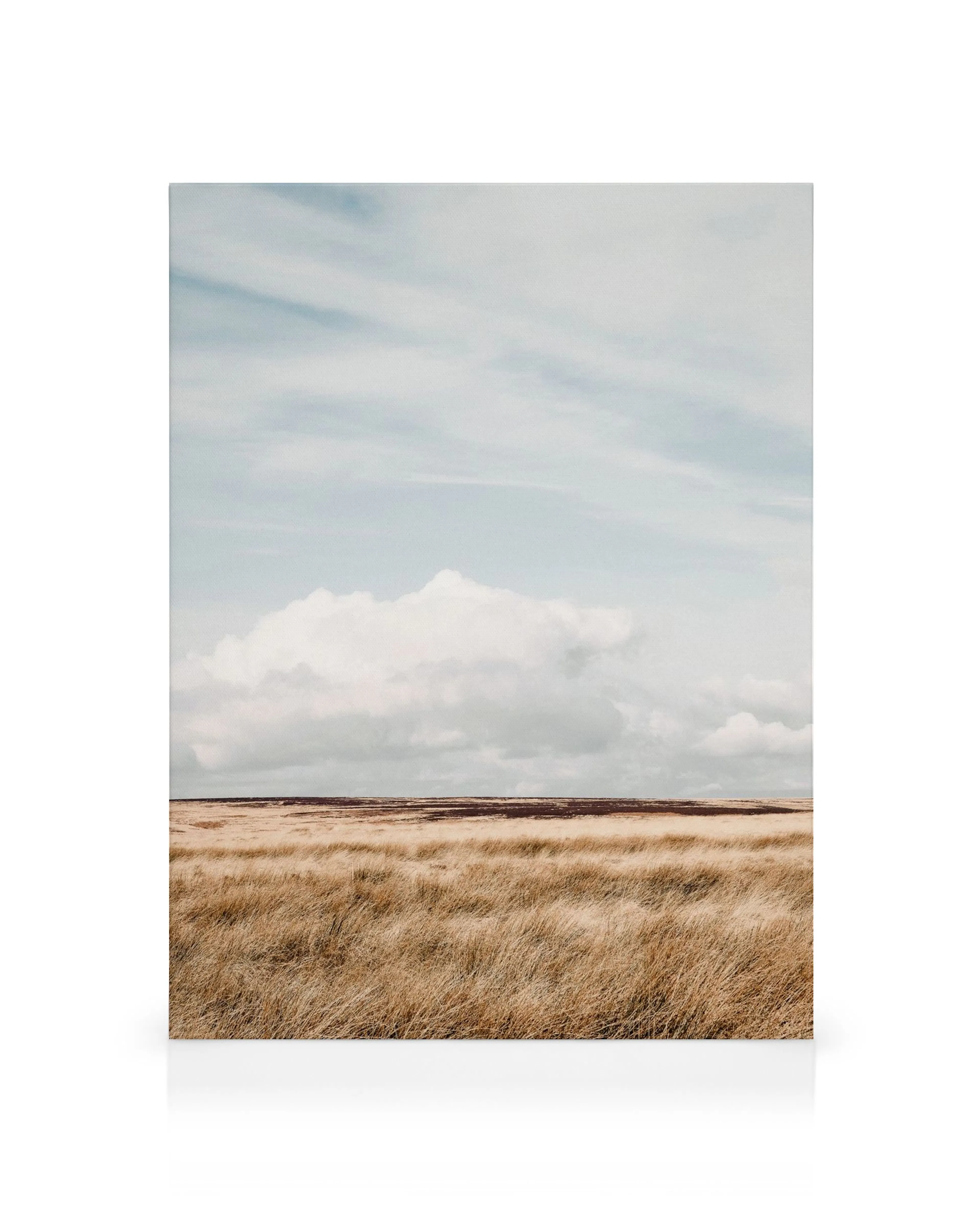 Moorland Canvas print features a vast, golden moorland under a light blue sky with fluffy white clouds, evoking natural beauty.