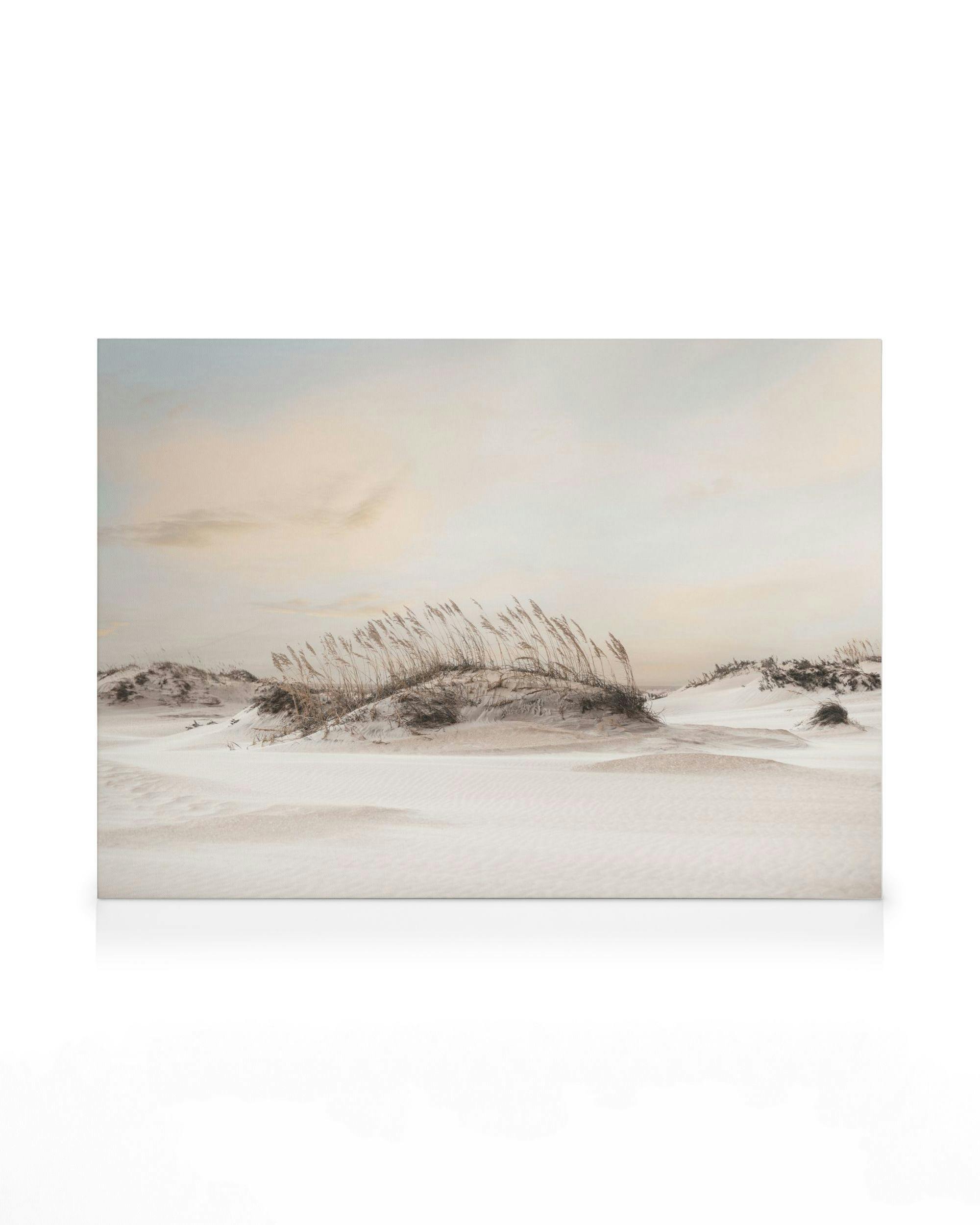 Dune Landscape Canvas (50x70 cm)