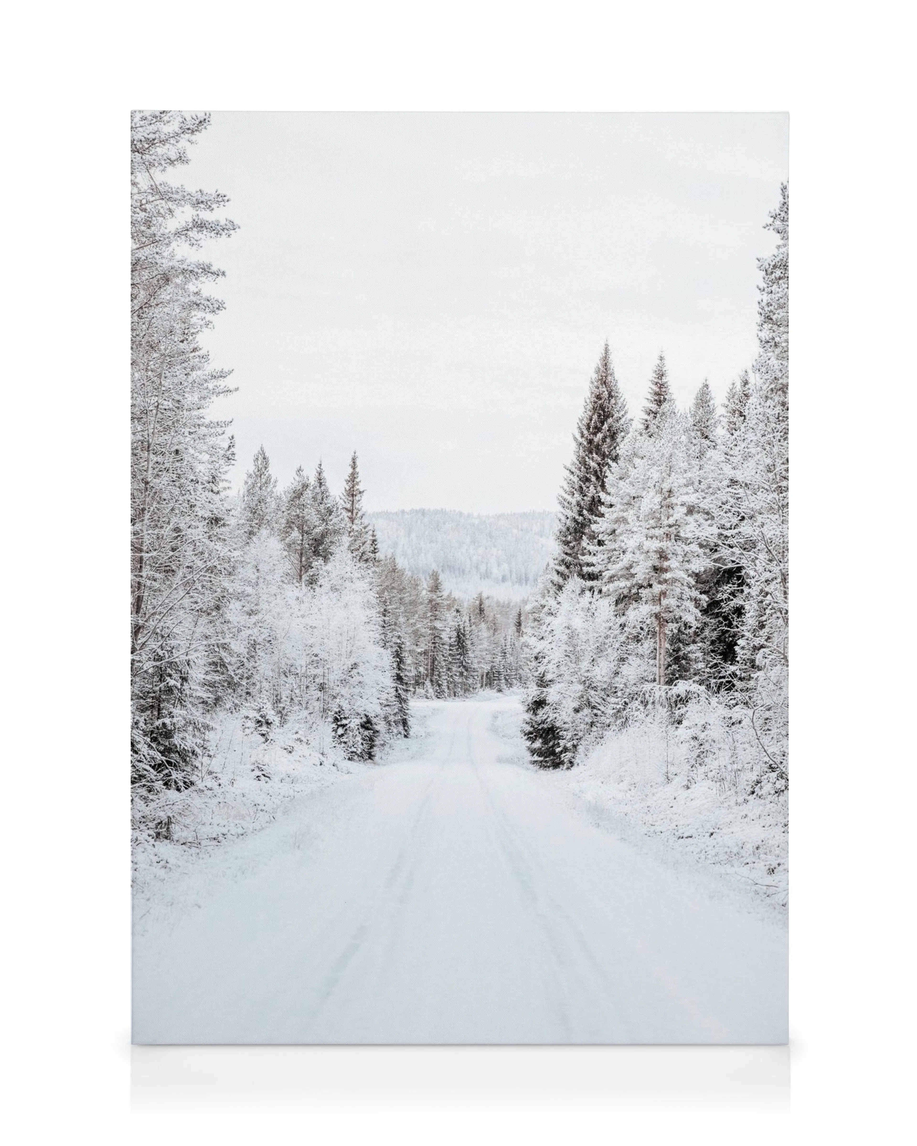 Vinterväg genom en snötäckt, stilla skog i vitt och grått. Fridfullt vinterlandskap på canvastavla.