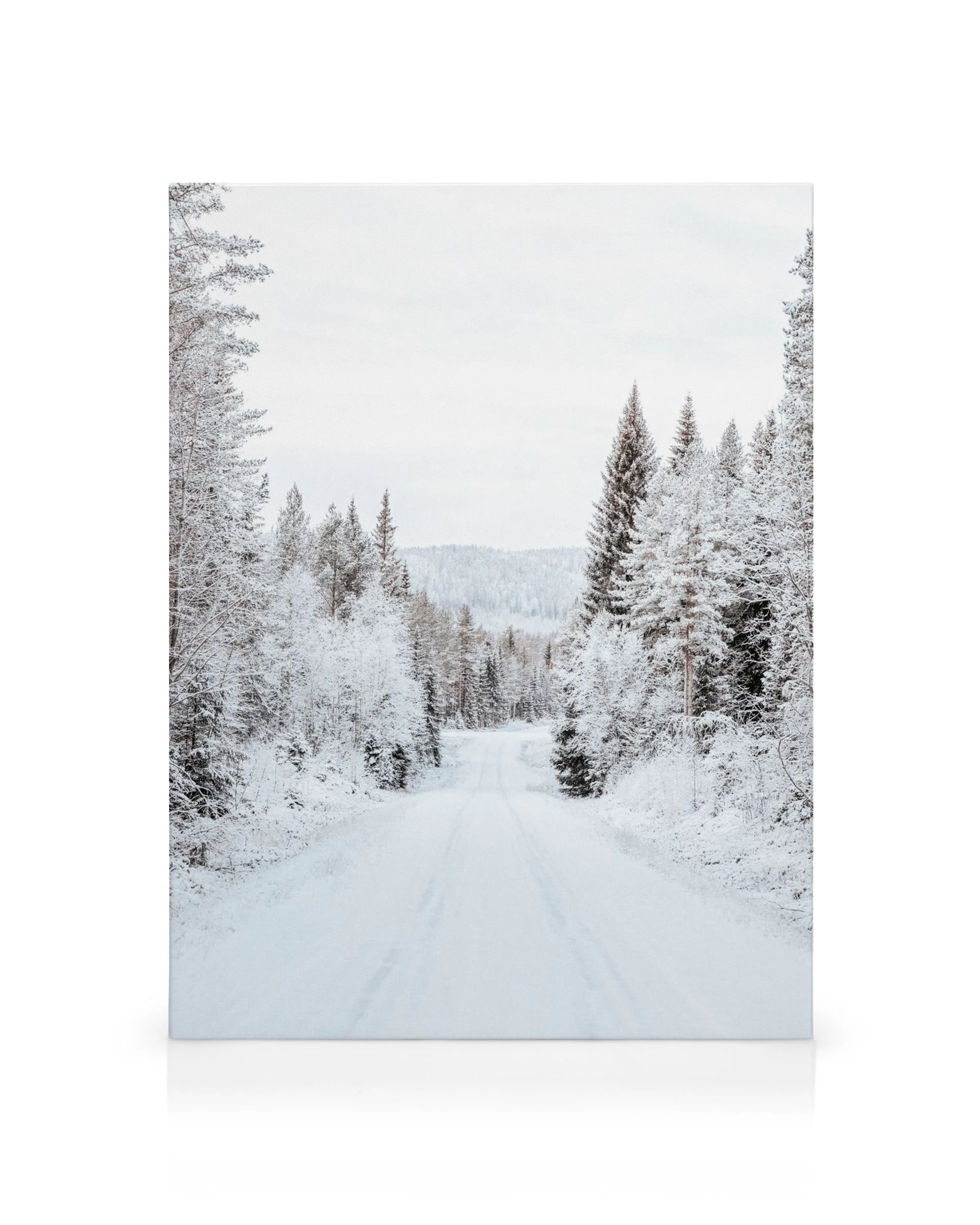 Vinterväg genom en snötäckt, stilla skog i vitt och grått. Fridfullt vinterlandskap på canvastavla.