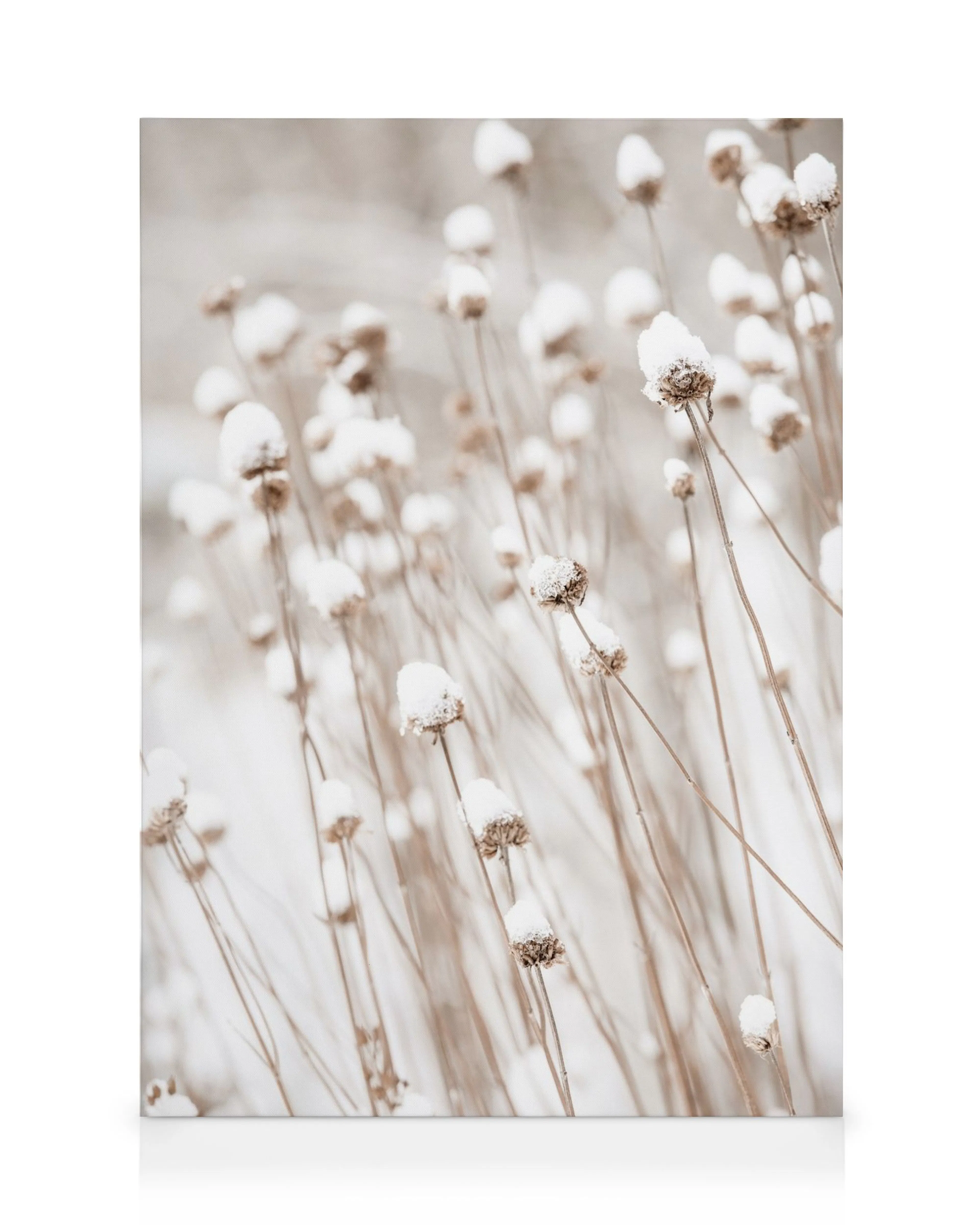 Leinwandbild mit schneebedeckten Blumen, vertikale Komposition, winterliche Szene, Naturmotiv