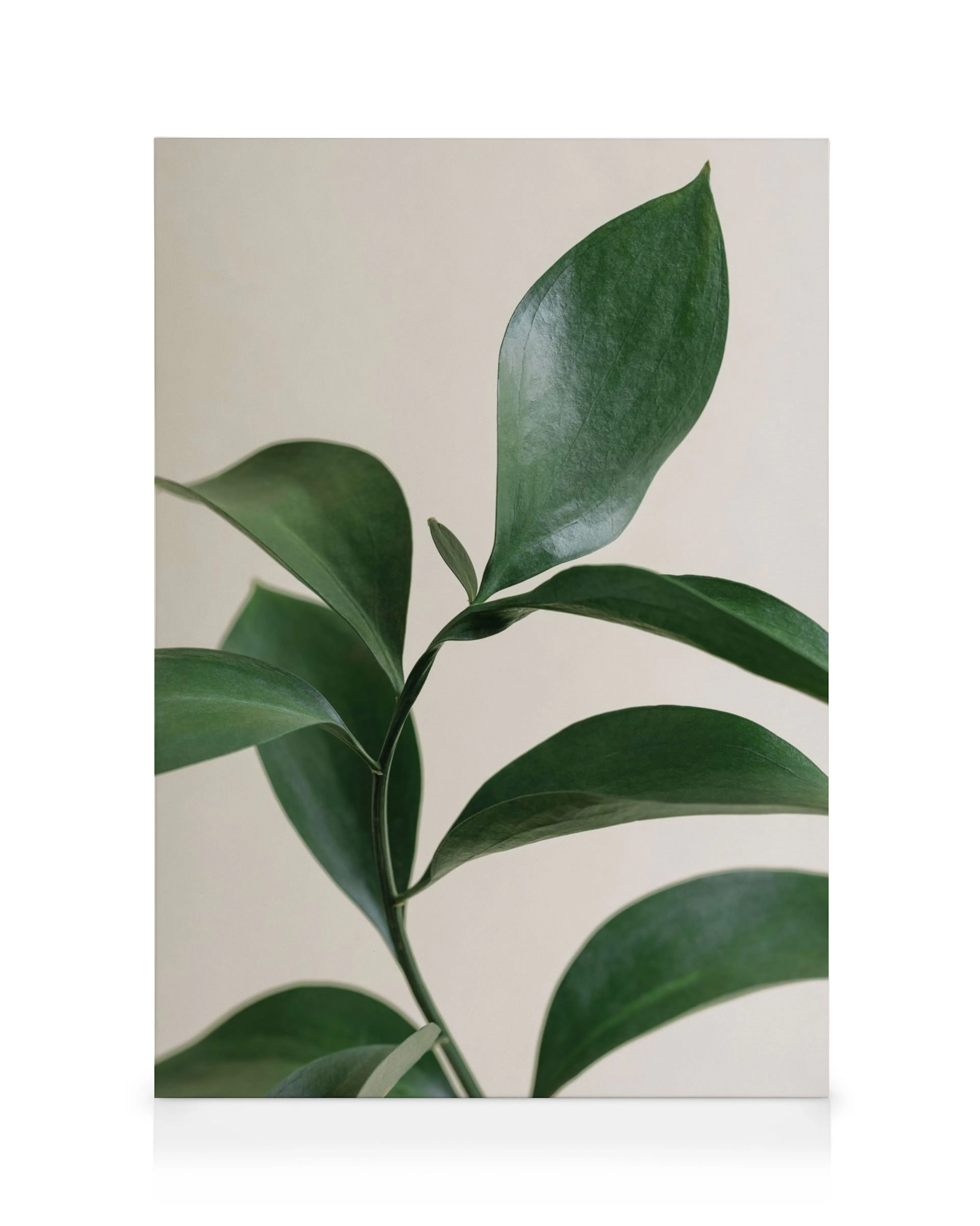 Tela botânica de folhas verdes ovais com veias visíveis em fundo bege claro, arte elegante.