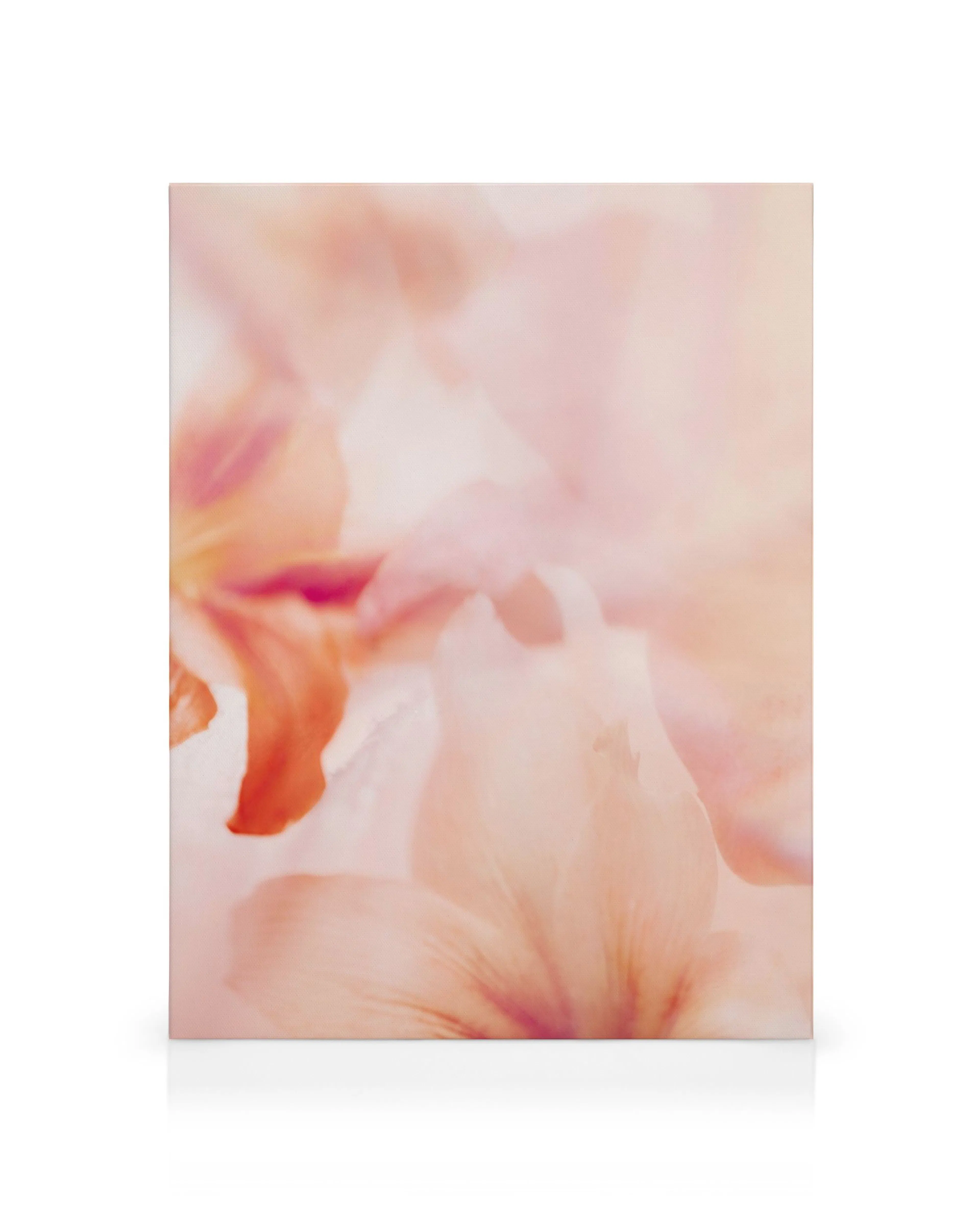Korallenfarbene Lilie Leinwandbild, verschwommene Blütenblätter in Pfirsich-, Rosa- und Orangetönen. Florale Kunst für Wohnzimme