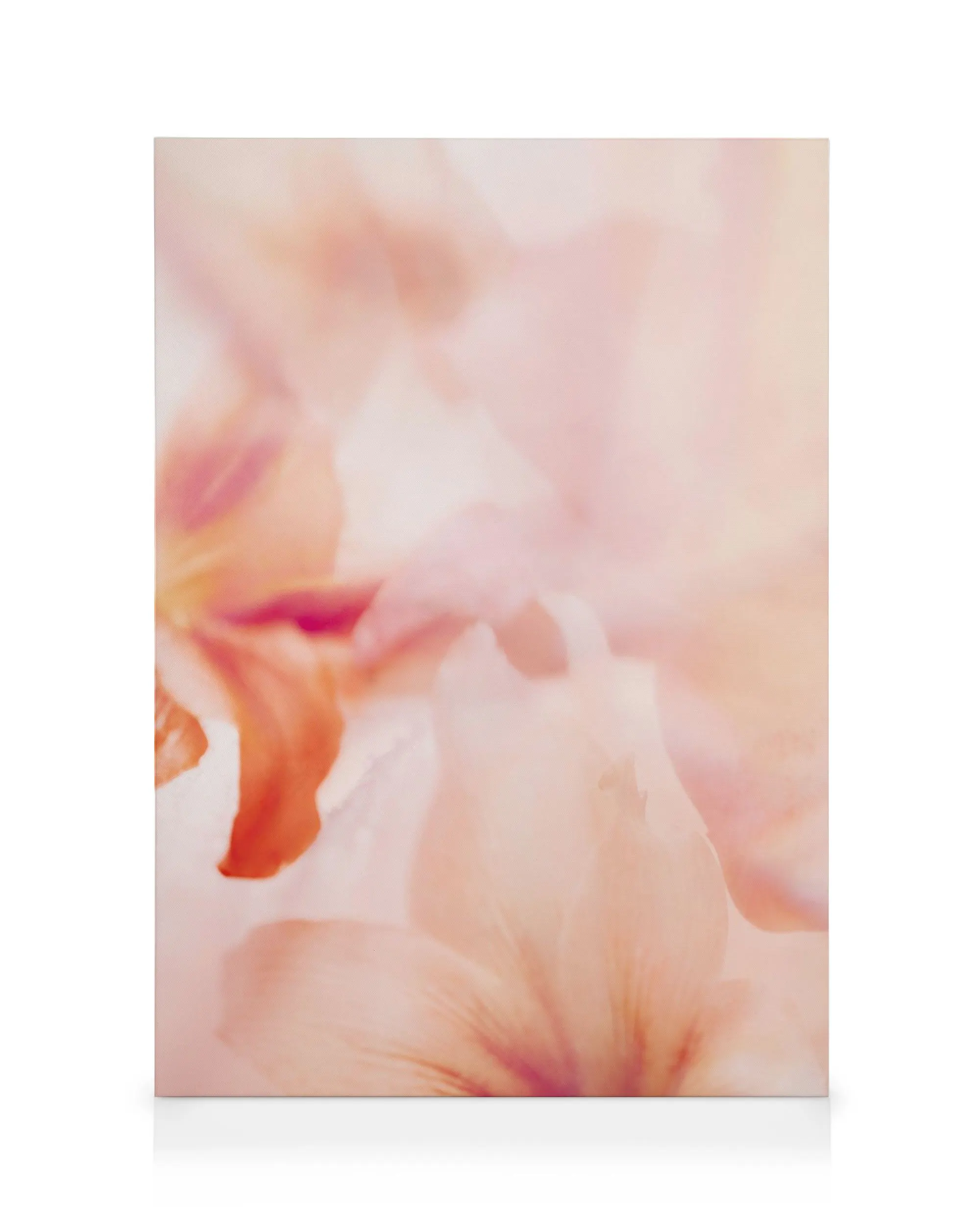 Korallenfarbene Lilie Leinwandbild, verschwommene Blütenblätter in Pfirsich-, Rosa- und Orangetönen. Florale Kunst für Wohnzimme