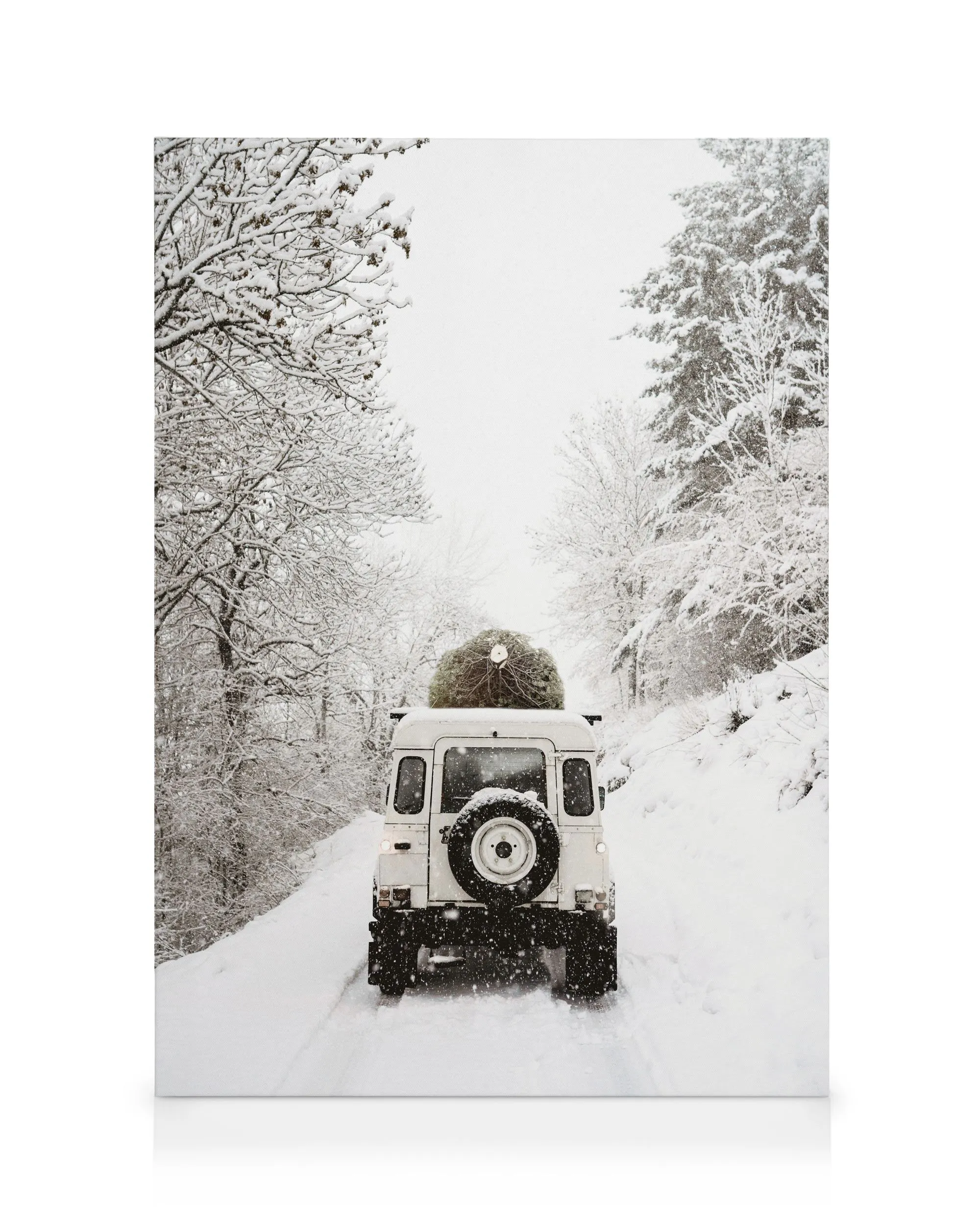 Holiday Delivery Stampa su Tela 0