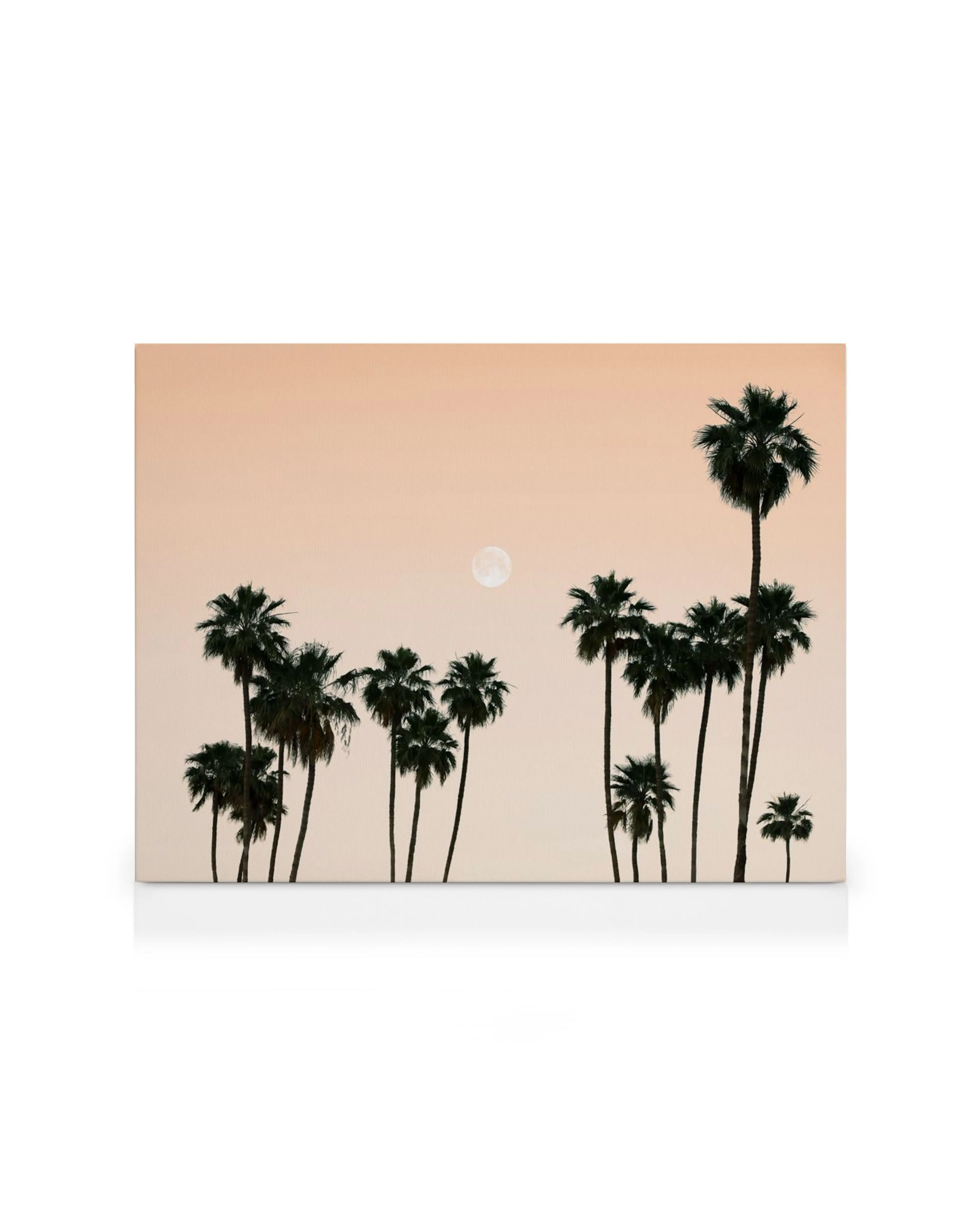 Silhouetten von Palmen vor einem zartrosa-beigen Himmel mit einem vollen Mond. Minimalistisches, ruhiges Palmen-Wandbild.