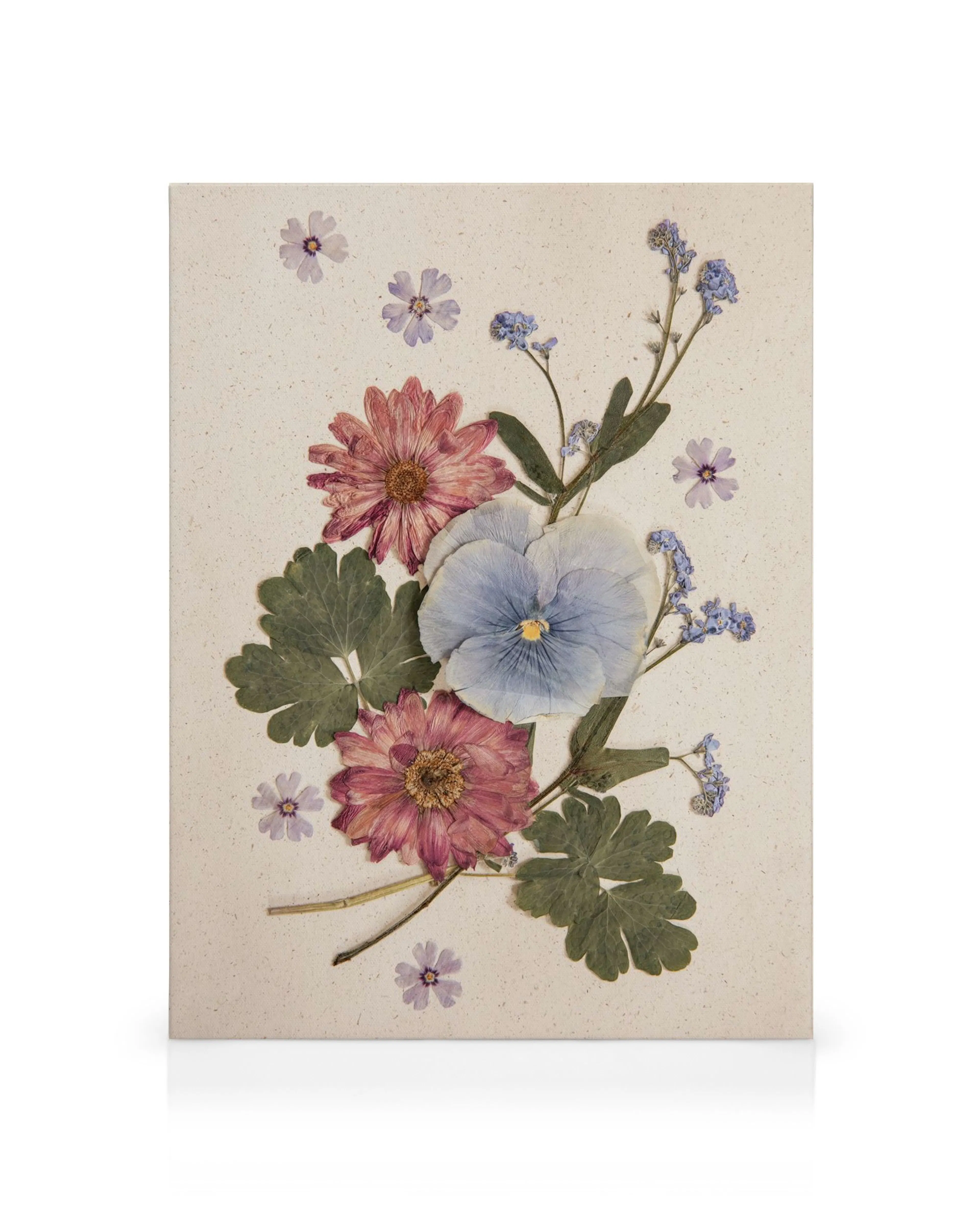 Tela floral com flores prensadas em tons de azul, rosa, roxo e folhas verdes num fundo bege texturizado. Arte botânica.