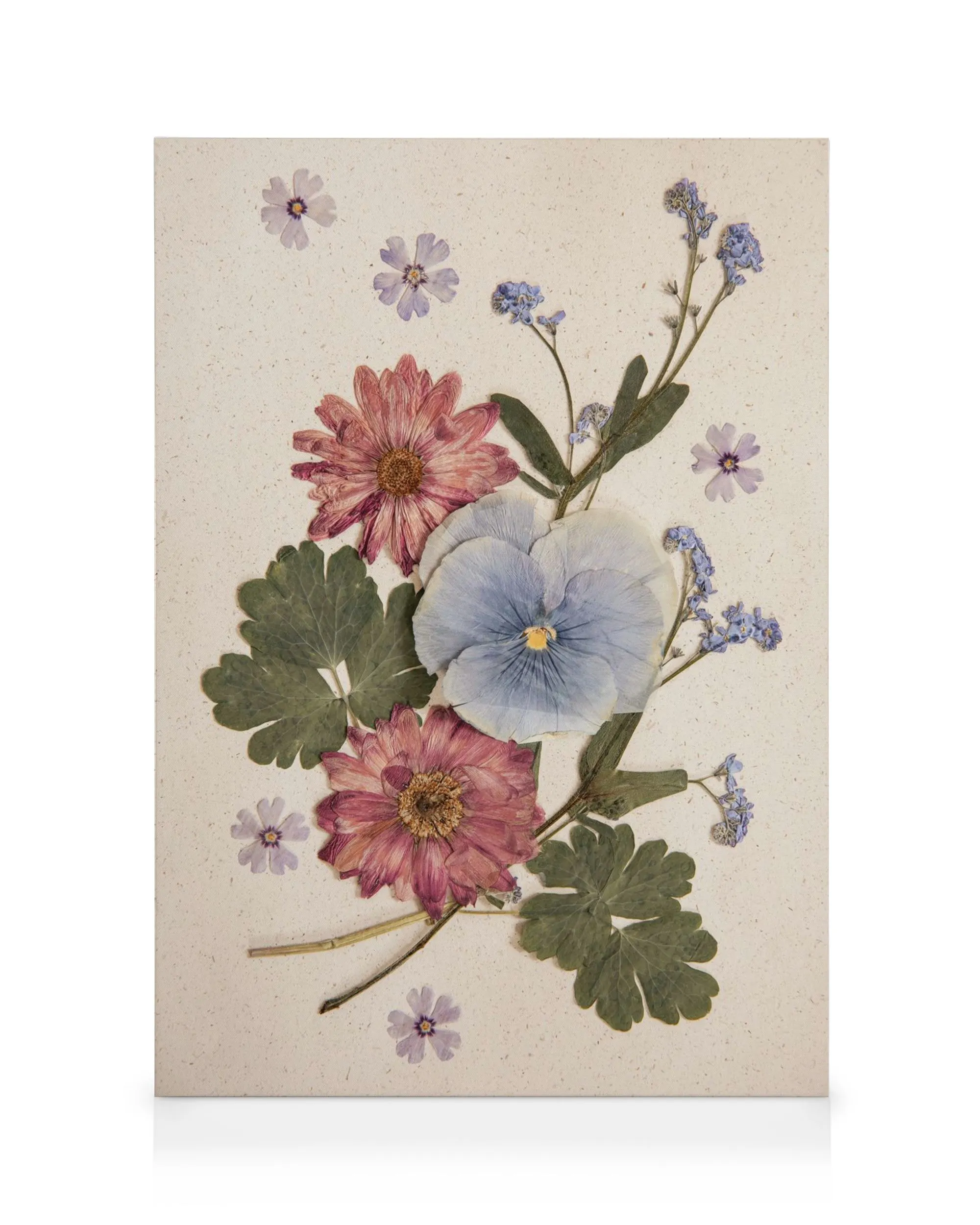 Pressed flower canvas with blue pansy, pink chrysanthemums, and delicate forget-me-nots on a light background.