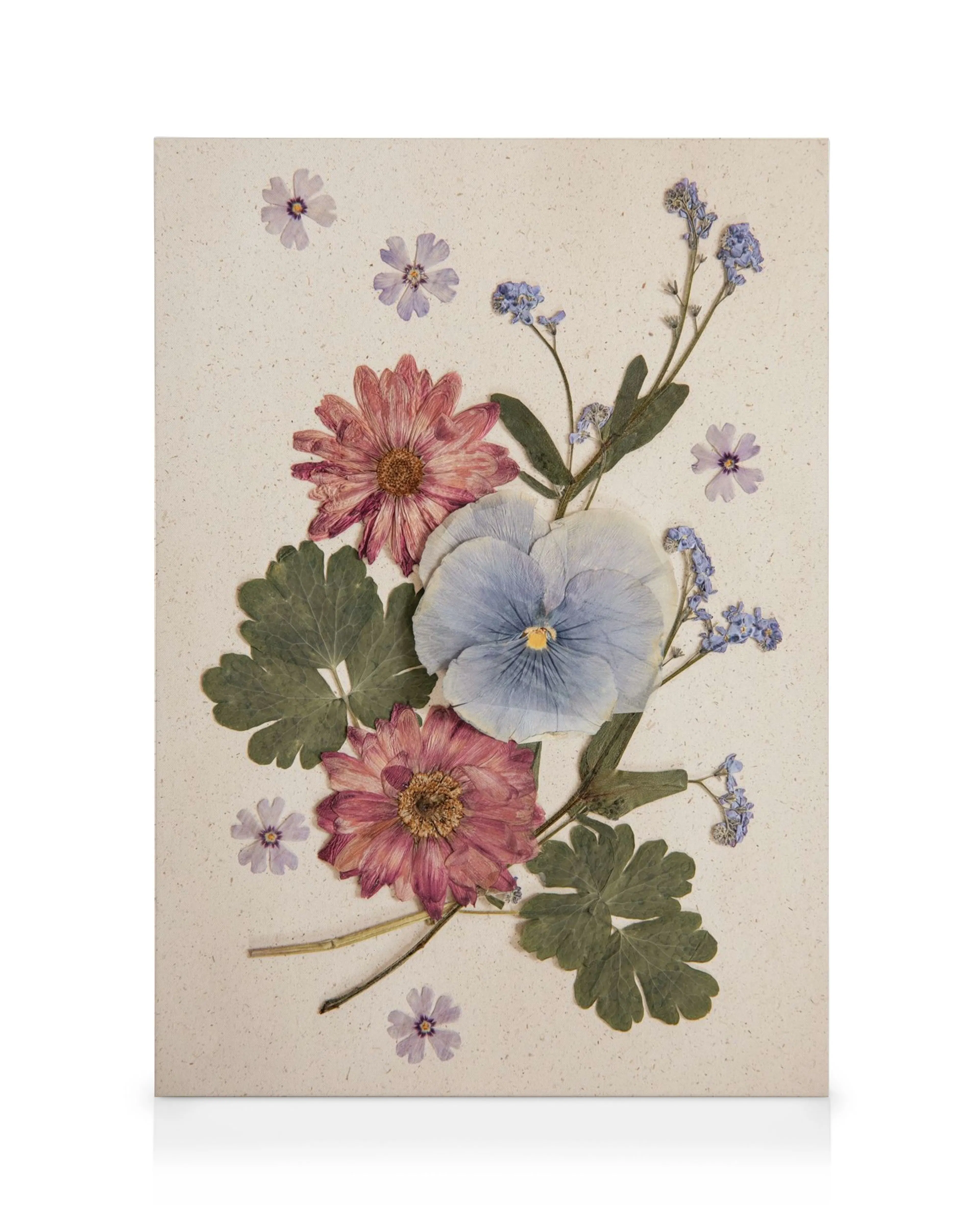 Pressed flower canvas with blue pansy, pink chrysanthemums, and delicate forget-me-nots on a light background.