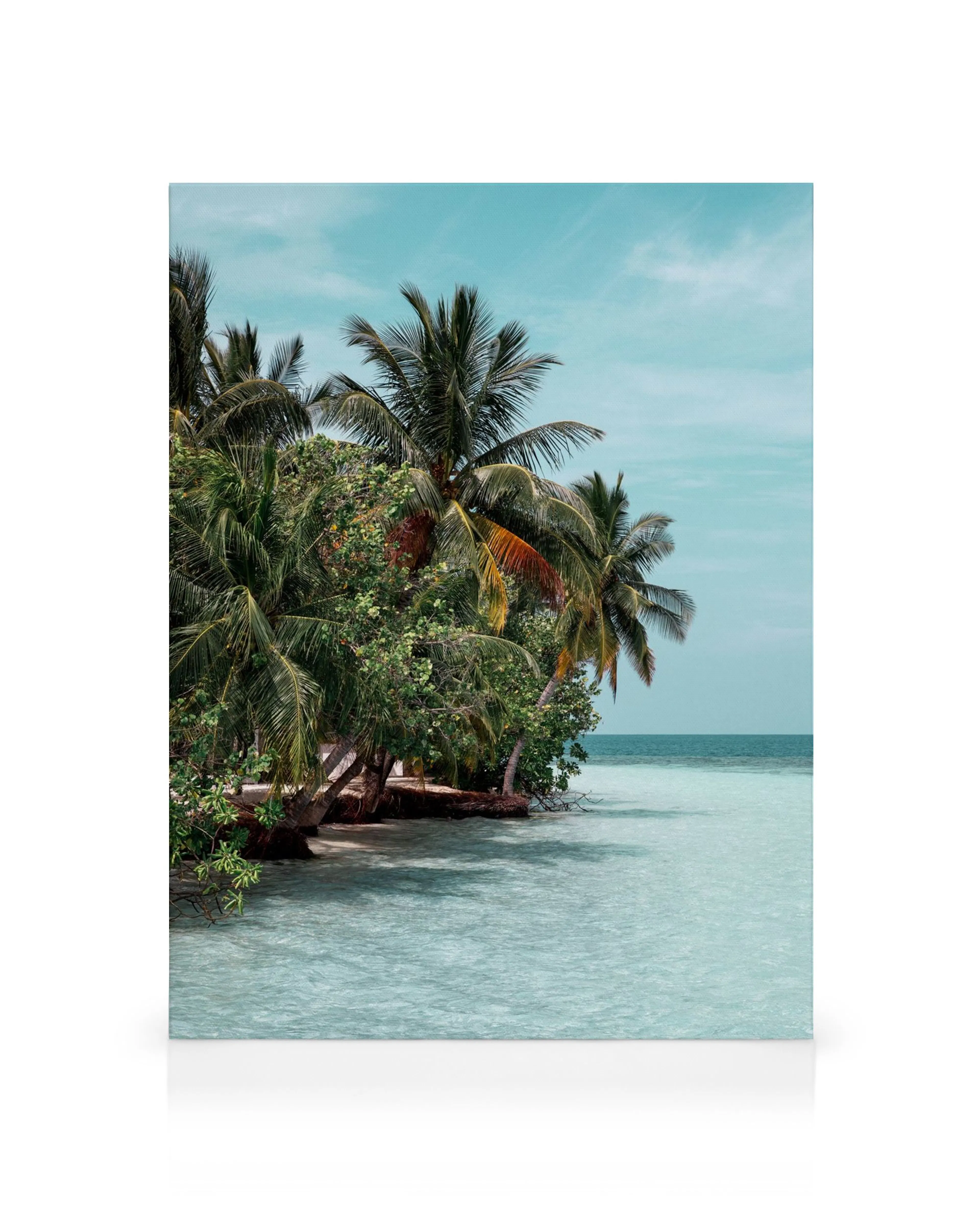 Tropisch canvas met palmbomen boven kalm, helderblauw water en een lichte horizon.
