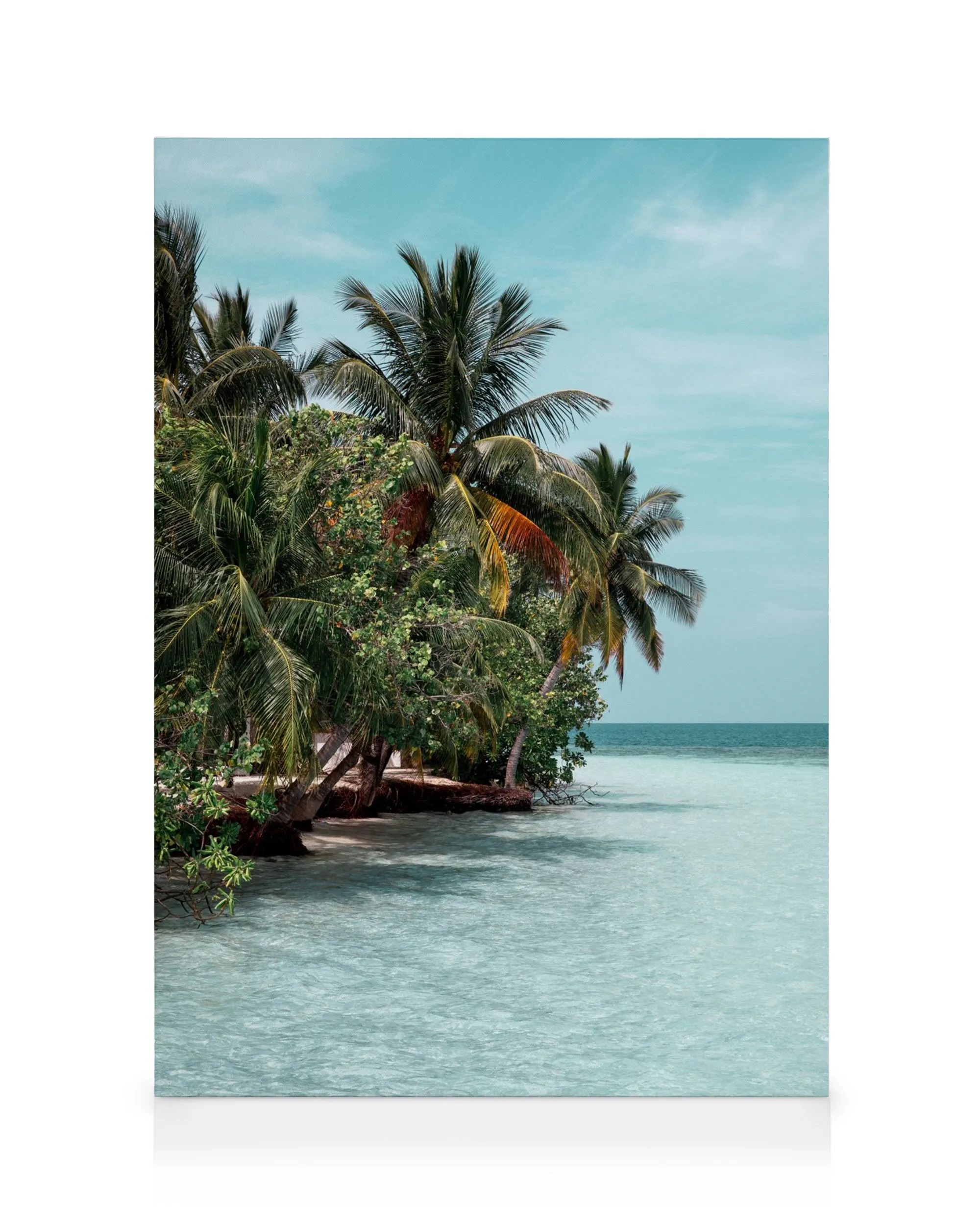 Obraz na plátne The Tropics: Palmové stromy na brehu tyrkysového mora pod modrou oblohou.
