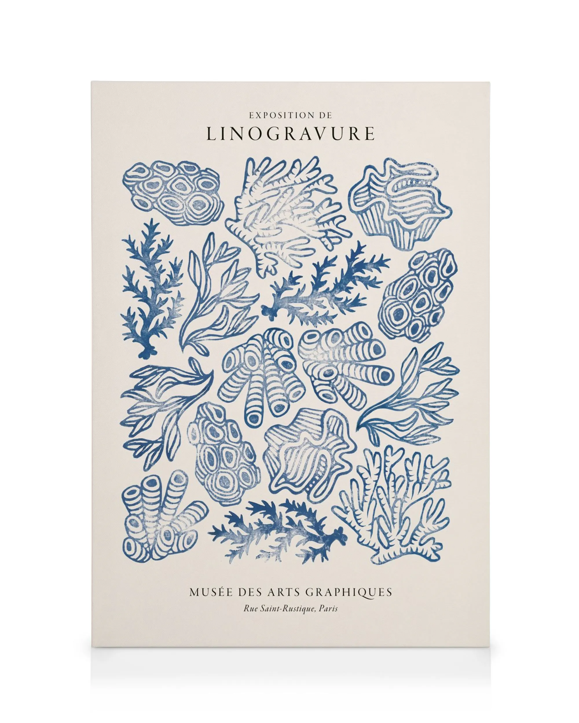 Linolschnitt-Illustrationen von Korallen und Meerespflanzen in Blau auf hellem Hintergrund