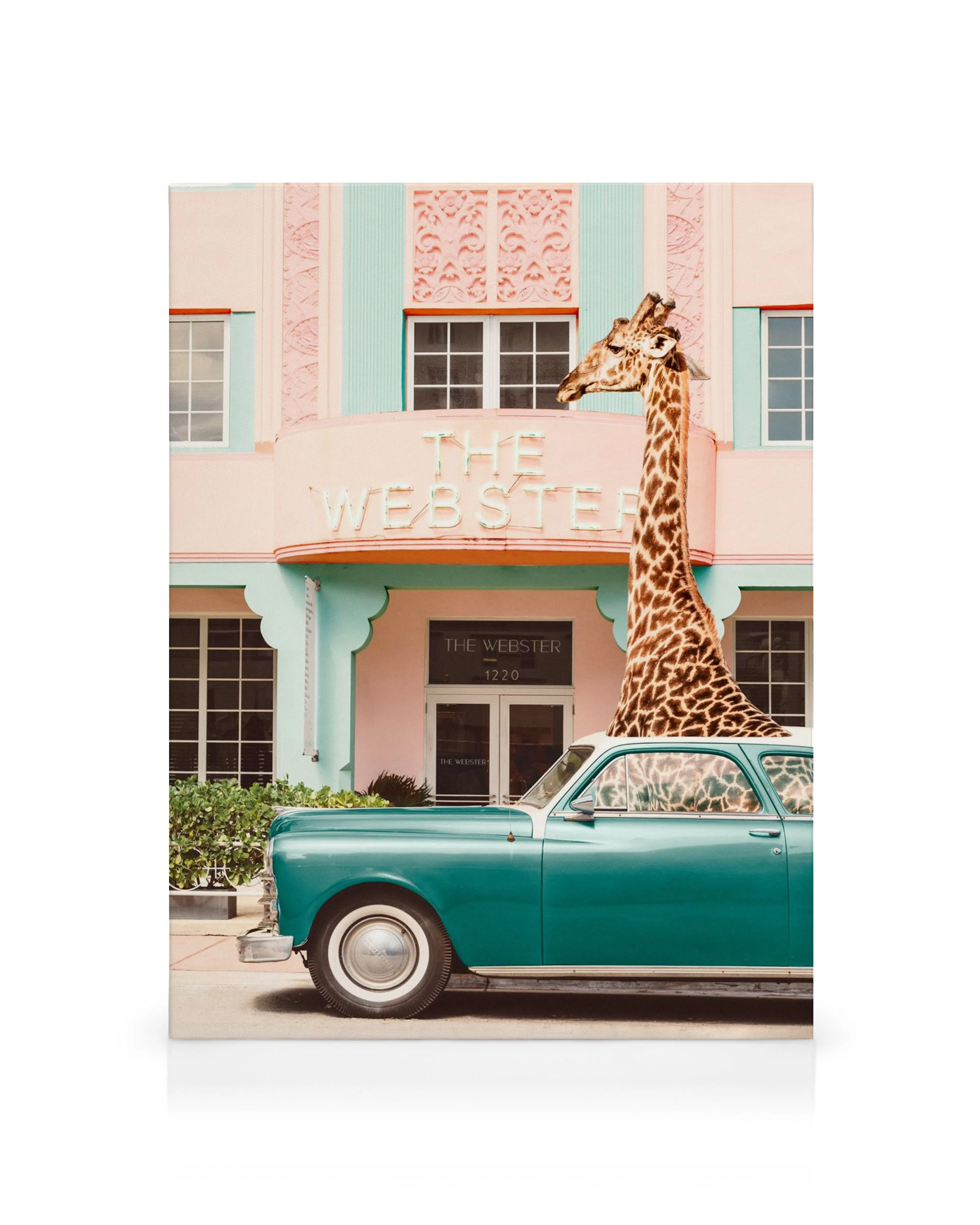 Lienzo de jirafa asomándose de coche turquesa vintage frente a edificio rosa, estilo Miami Art Decó.