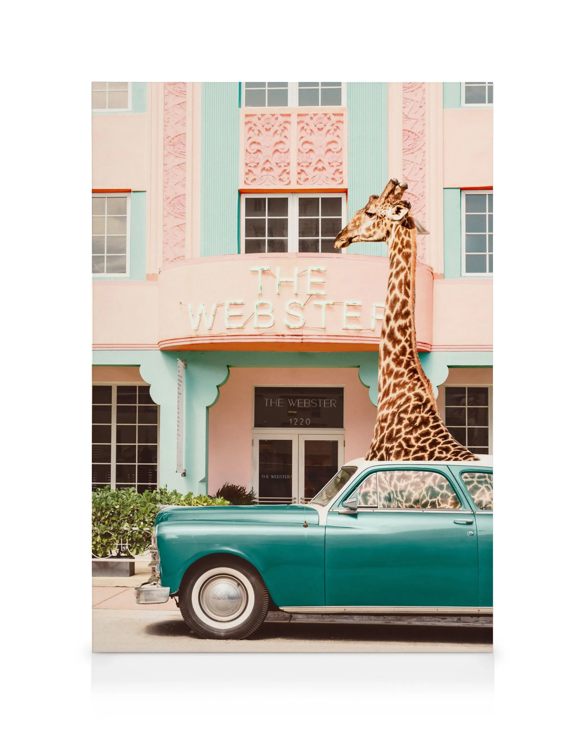 Stampa su tela con testa di giraffa che sbuca da unauto turchese vintage, parcheggiata davanti a un edificio rosa.