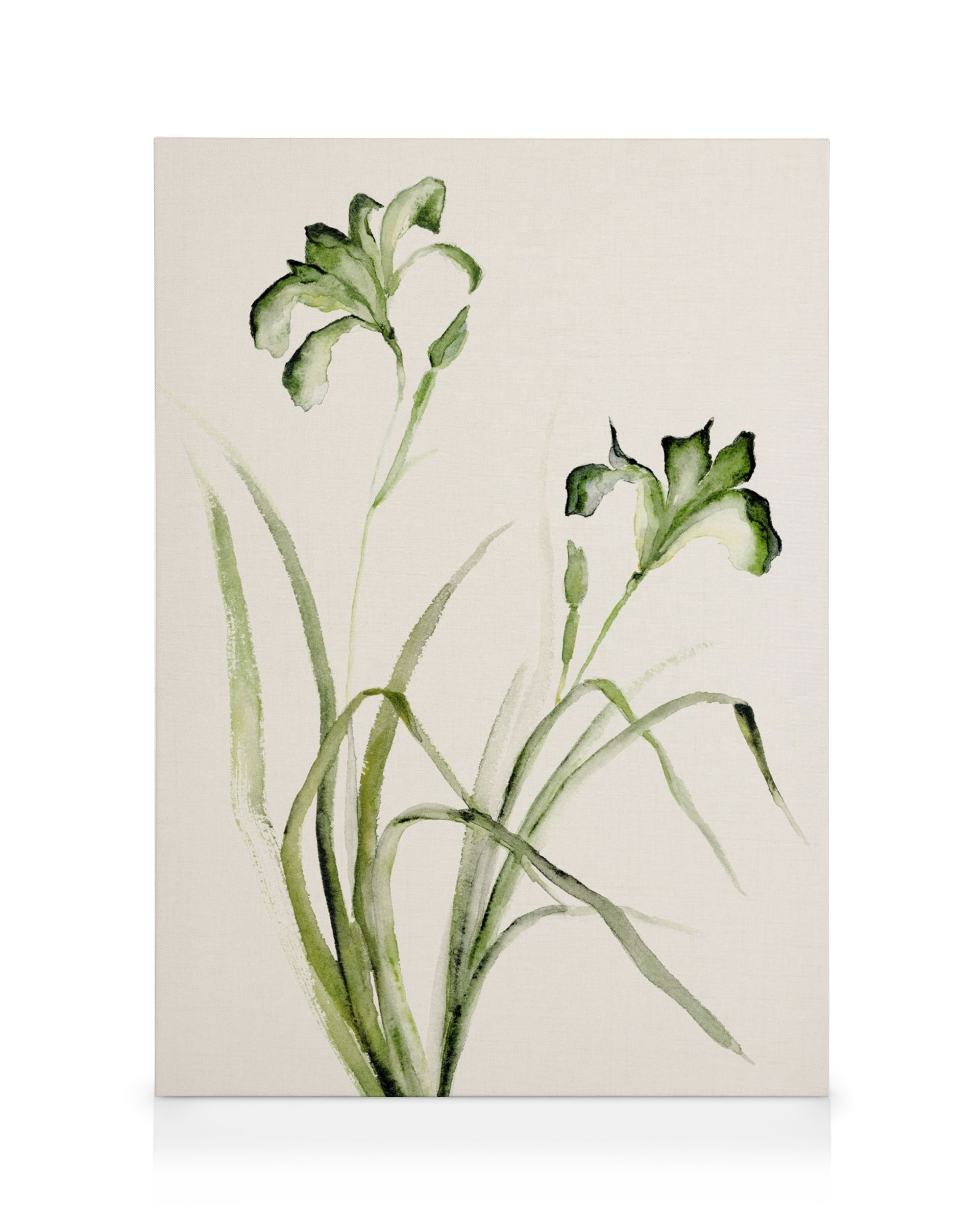 Watercolur canvas prints & canvas wall art | Desenio.ca