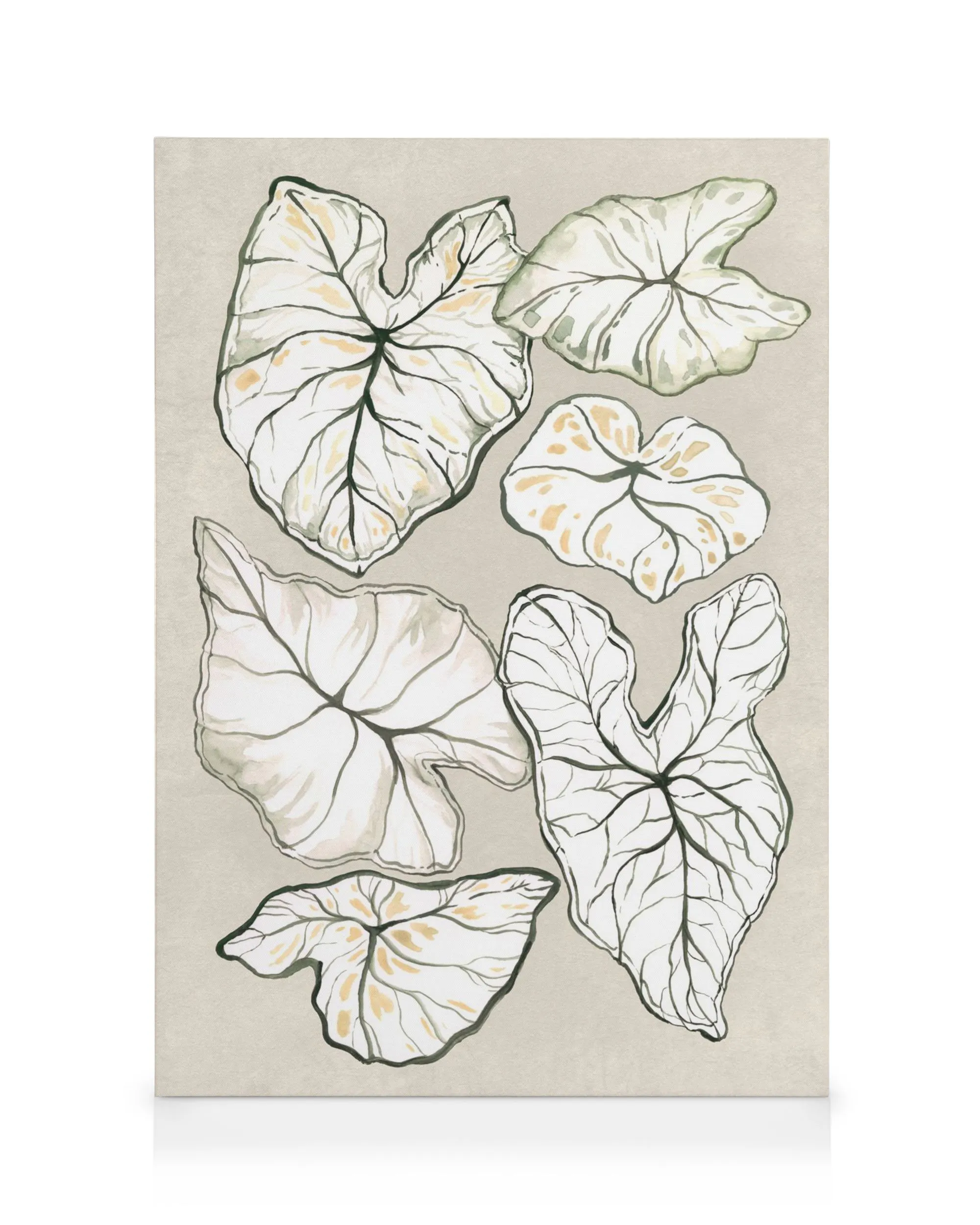 Caladium plant on beige canvas, botanical wall art print