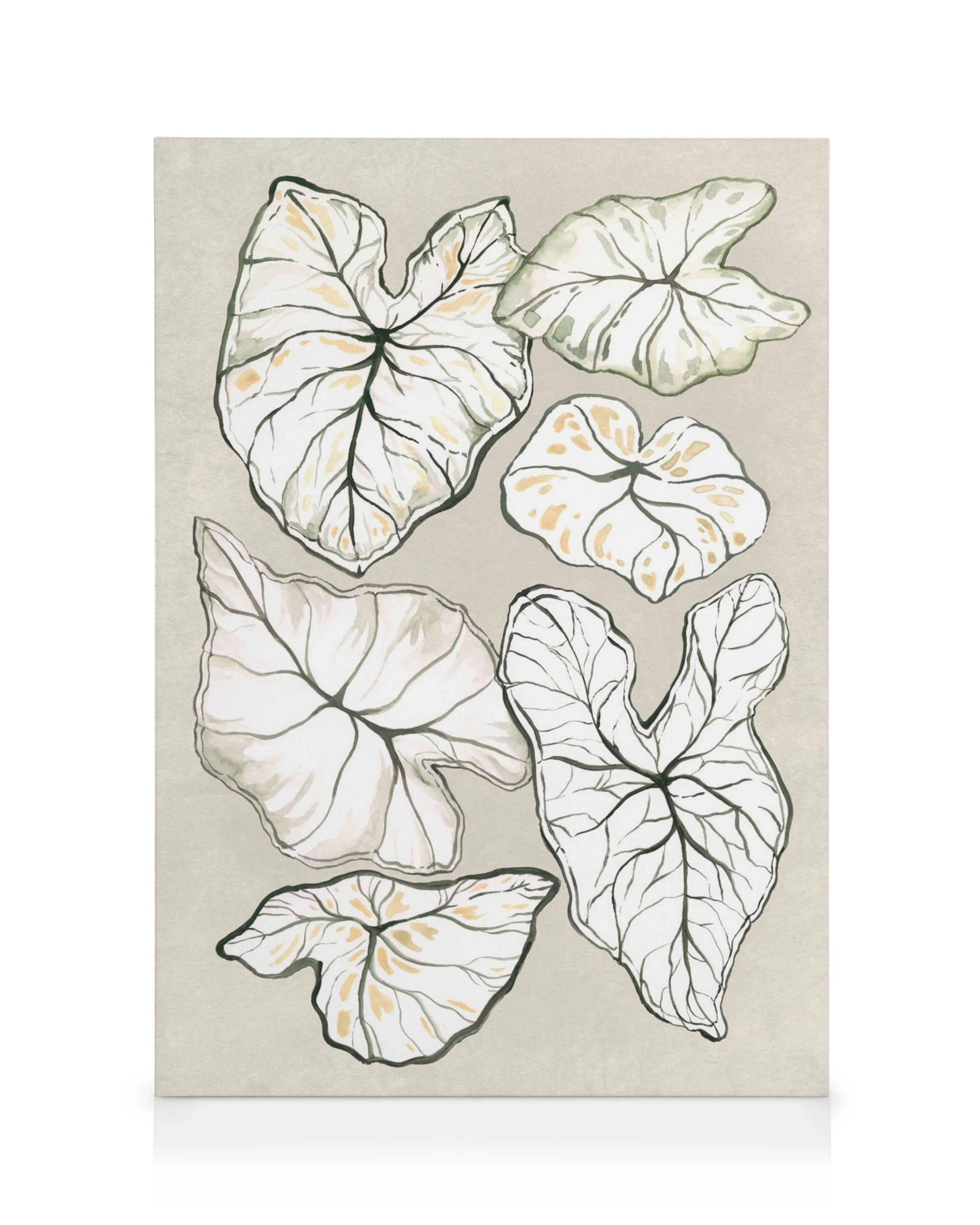 Caladium plant on beige canvas, botanical wall art print