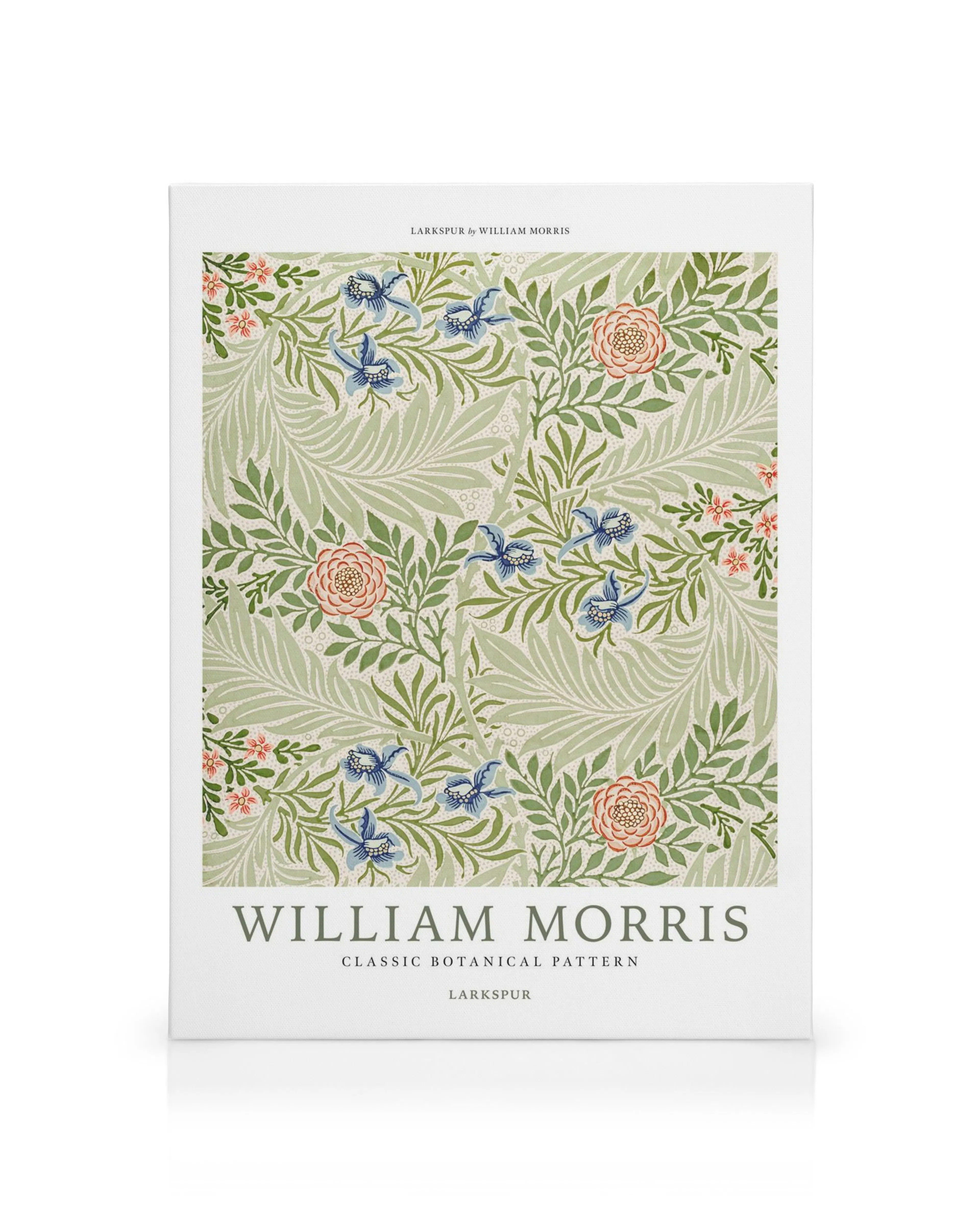 William Morris Larkspur No4 kanvaasi, kuviollinen kasviaiheinen taide, jossa vihreitä lehtiä, vaaleansinisiä kukkia ja korallinp