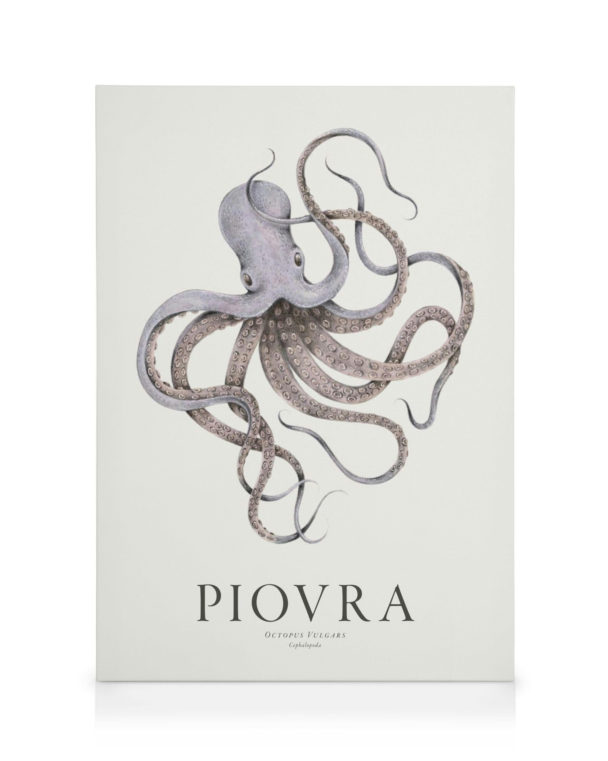 Canvas Prints Piovra Canvas print (30x40 cm)