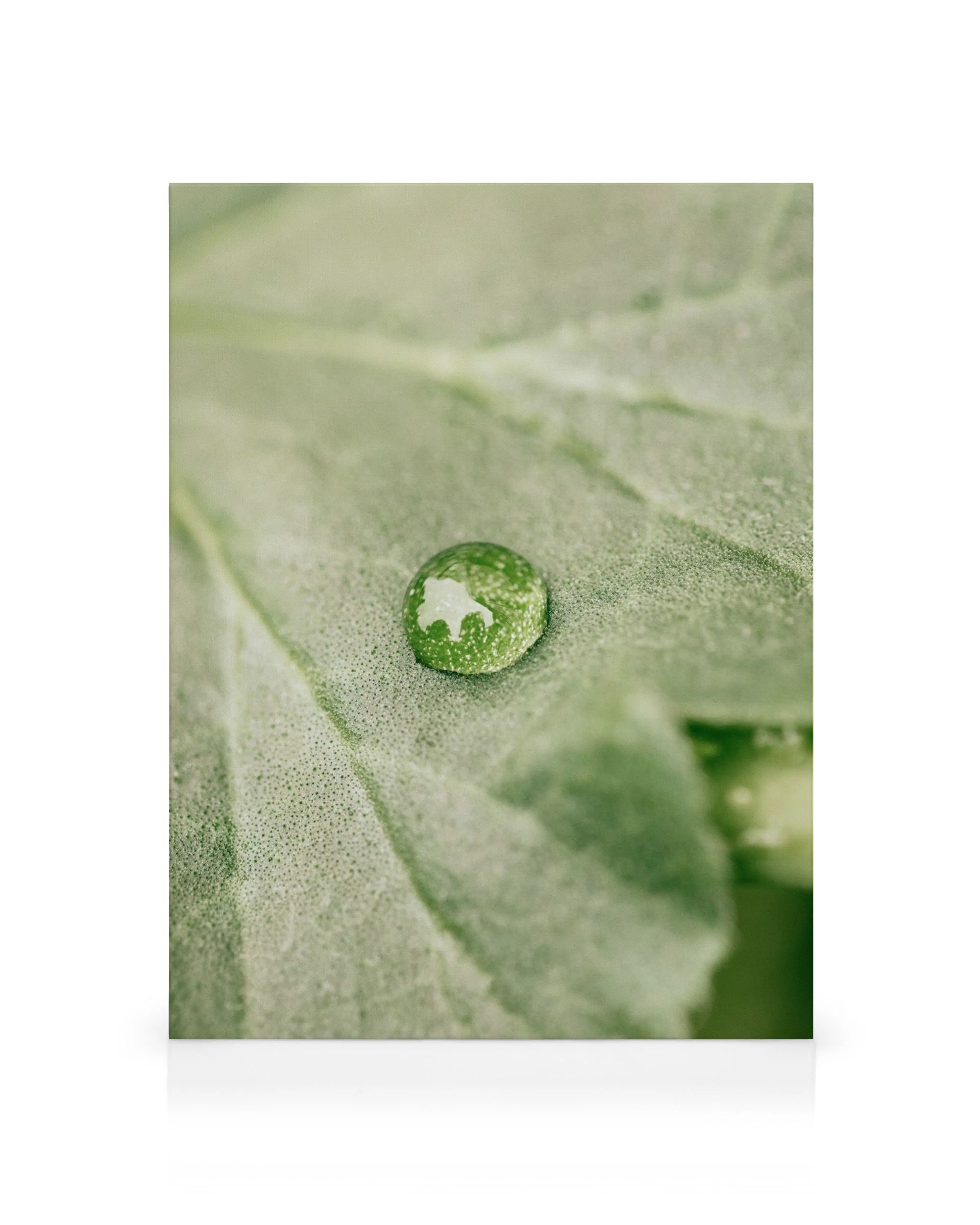 Gota de agua verde en primer plano sobre hoja, reflejando patrones de luz, fotografía macro de la naturaleza