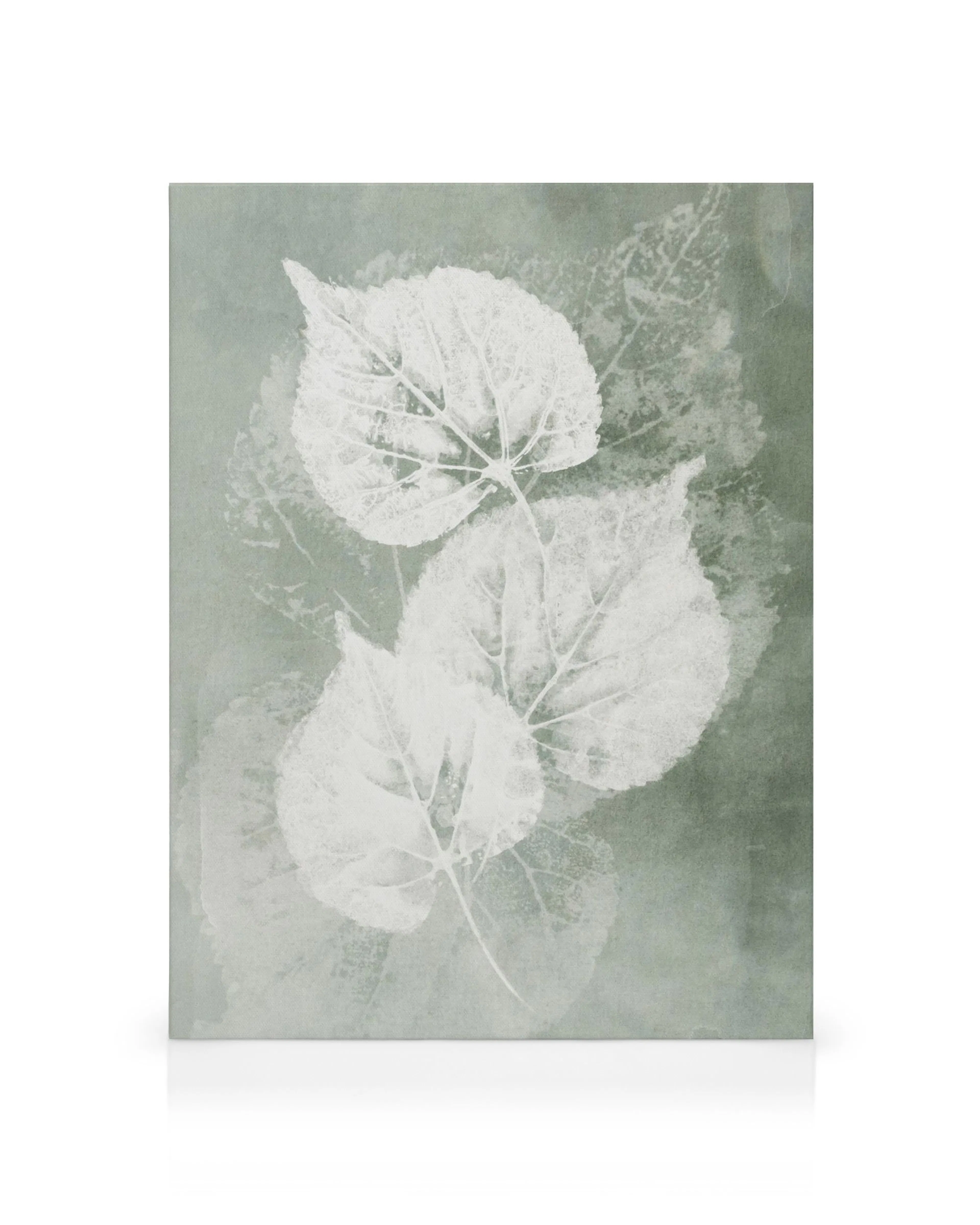 Pressed leaves canvas print, a botanical art piece with delicate, detailed foliage in earthy tones, perfect for natural decor.