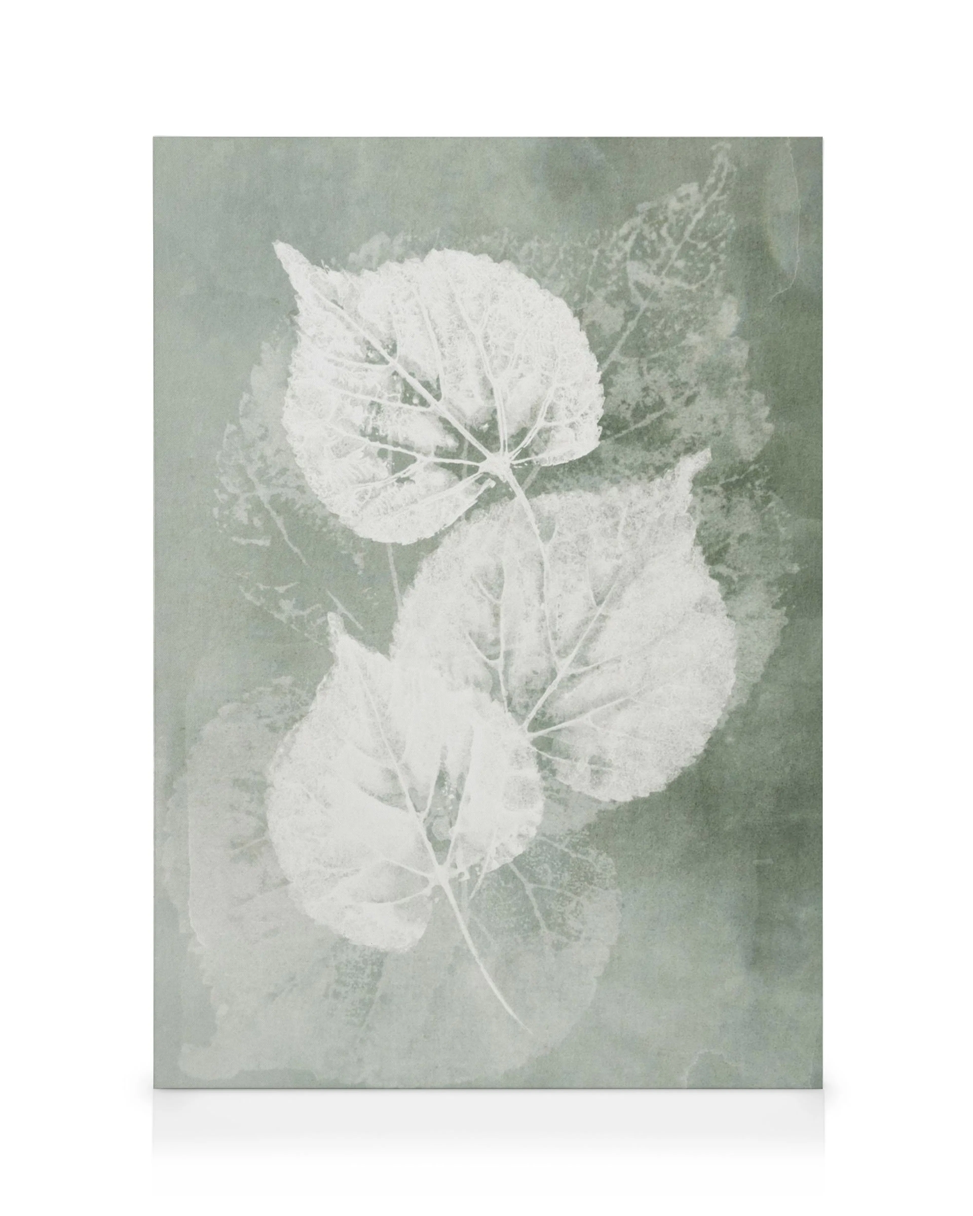 Pressed leaves canvas print, close-up of delicate botanical art, natural green and brown tones, detailed plant illustration.
