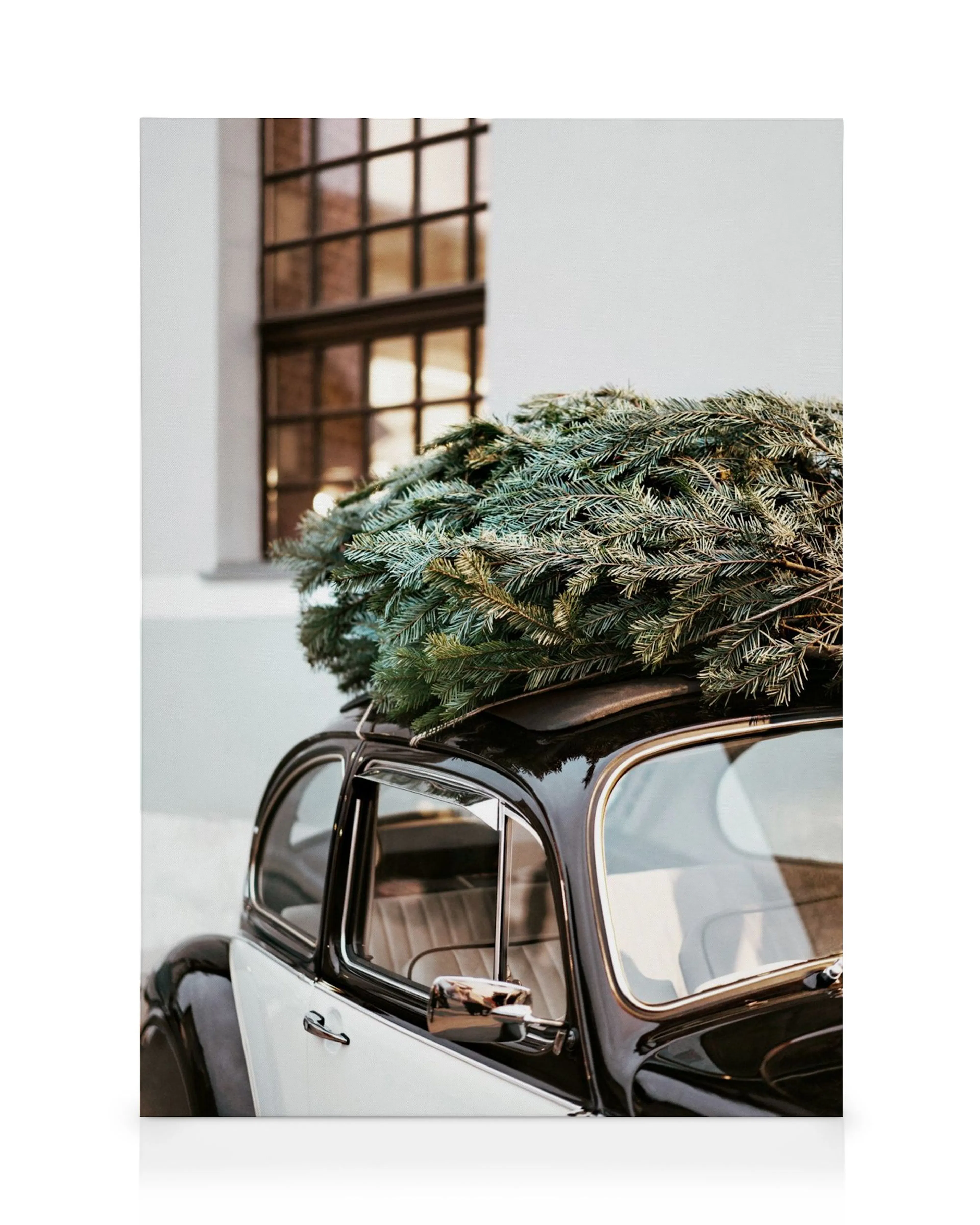 Schwarz-weißes Vintage-Auto mit grünem Weihnachtsbaum auf dem Dach vor einem Fenster. Festliche Winterstimmung.